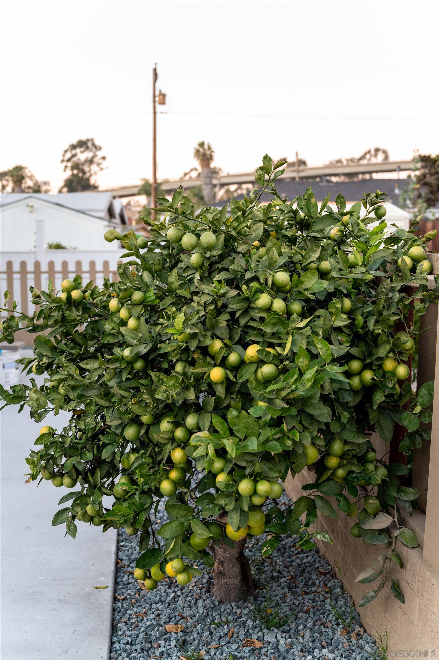 Detail Gallery Image 17 of 20 For 1309 E 1st Street, National City,  CA 91950 - 3 Beds | 1 Baths