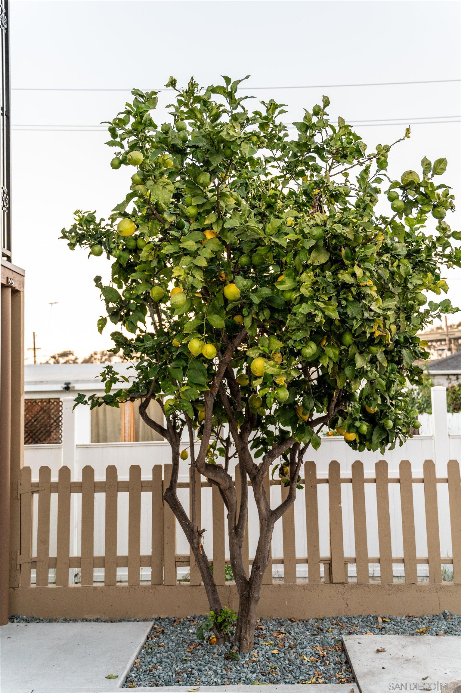 Detail Gallery Image 18 of 20 For 1309 E 1st Street, National City,  CA 91950 - 3 Beds | 1 Baths