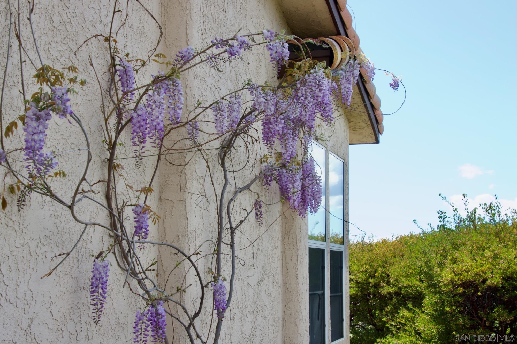 Detail Gallery Image 27 of 38 For 32137  Cerrada Del Coyote, Warner Springs,  CA 92086 - 3 Beds | 3 Baths