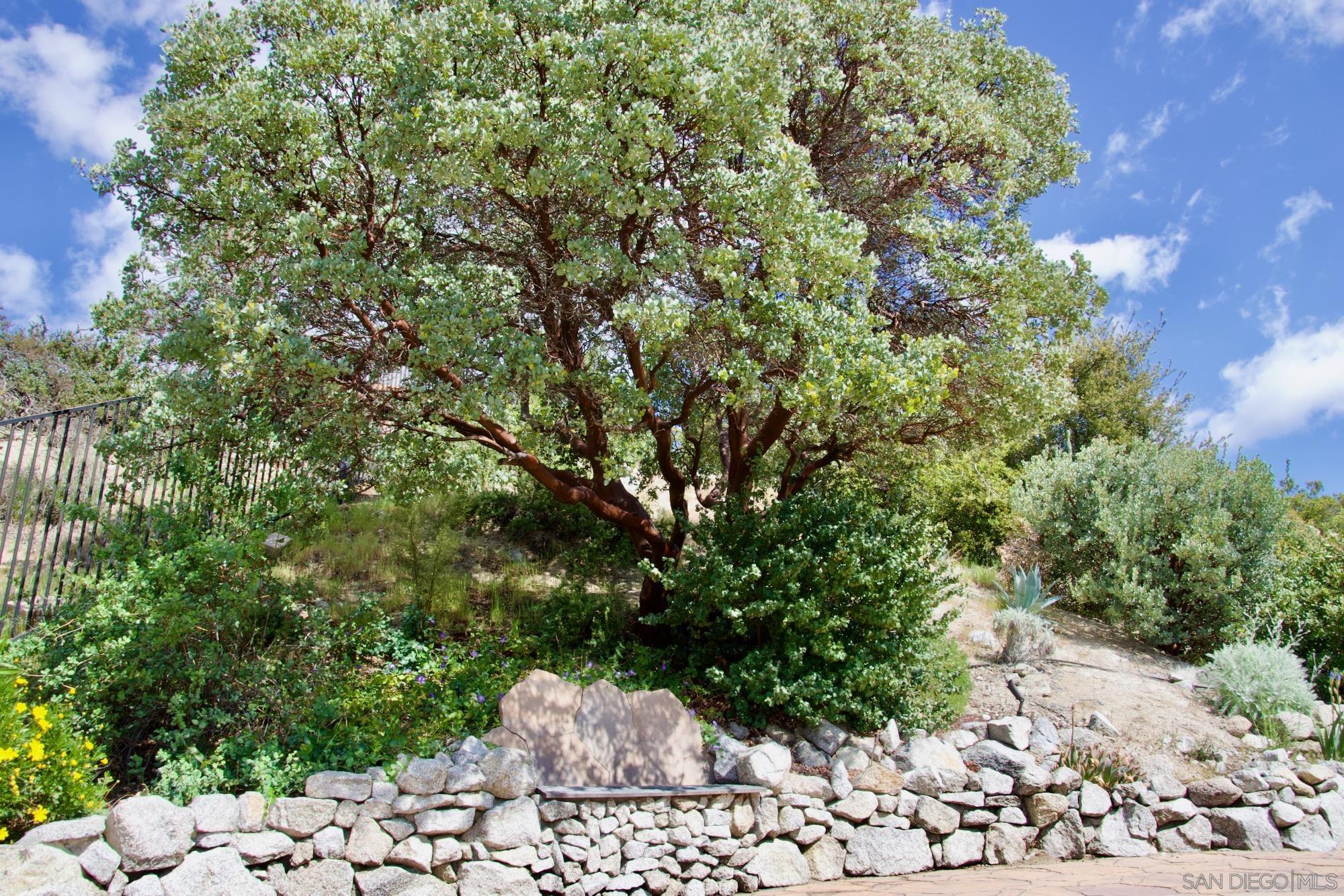 Detail Gallery Image 32 of 38 For 32137  Cerrada Del Coyote, Warner Springs,  CA 92086 - 3 Beds | 3 Baths