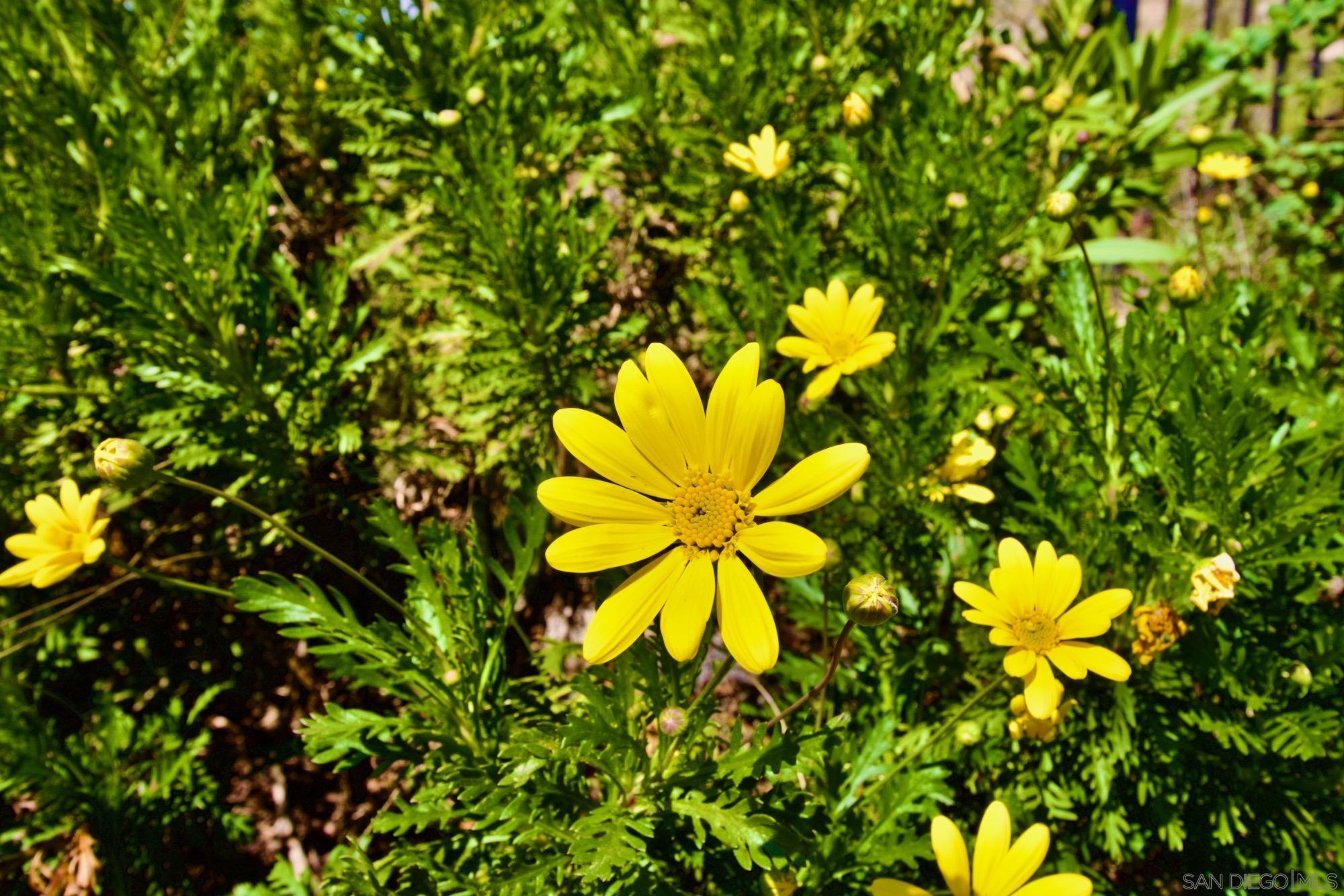 Detail Gallery Image 35 of 38 For 32137  Cerrada Del Coyote, Warner Springs,  CA 92086 - 3 Beds | 3 Baths