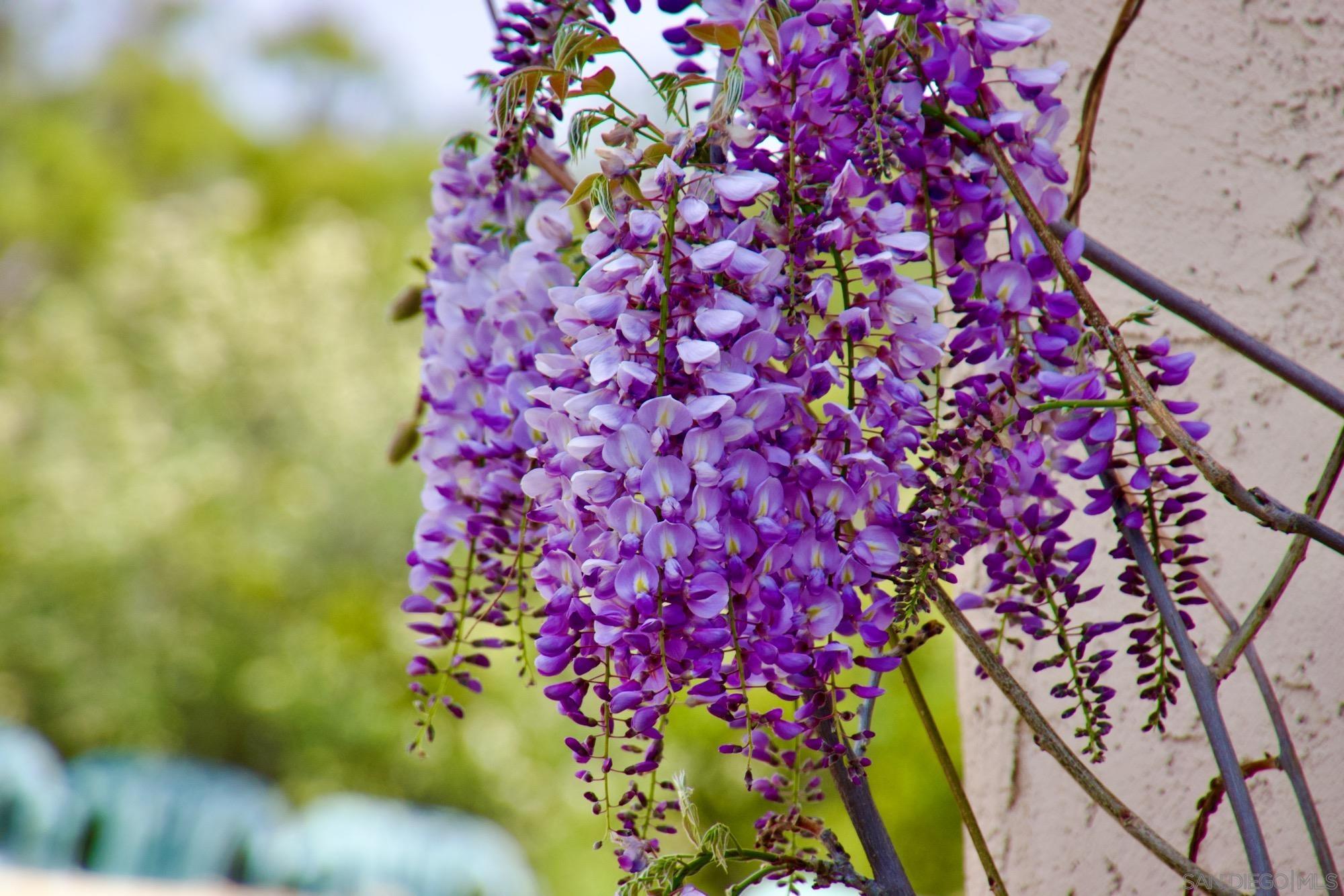 Detail Gallery Image 38 of 38 For 32137  Cerrada Del Coyote, Warner Springs,  CA 92086 - 3 Beds | 3 Baths
