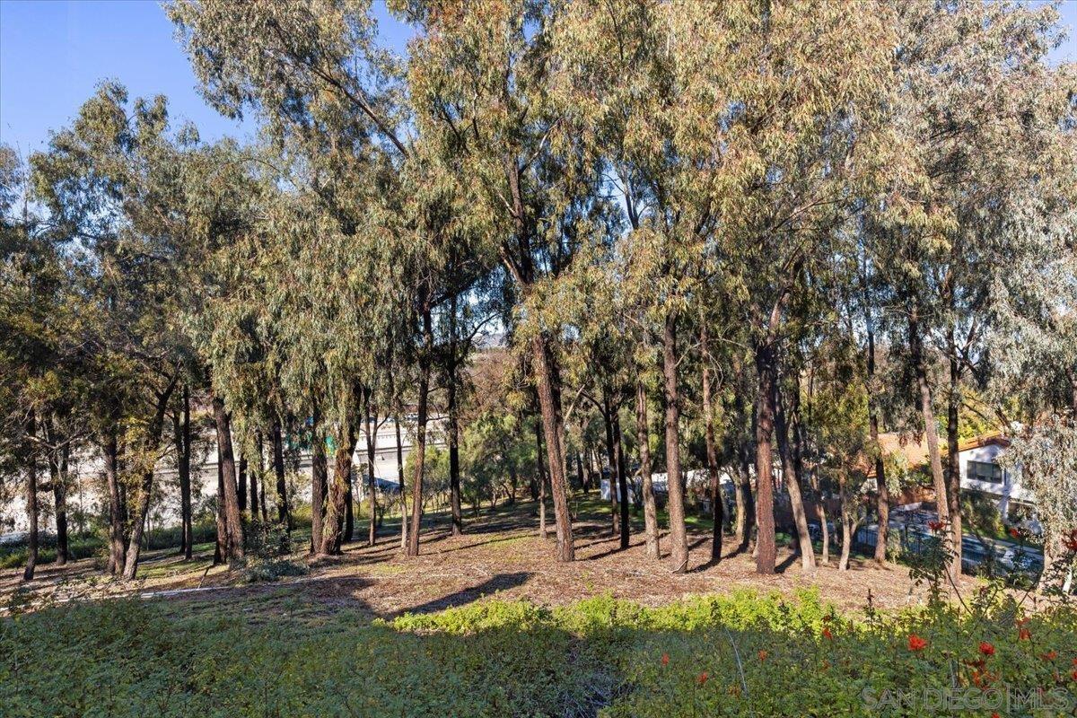 Detail Gallery Image 32 of 37 For 16156  Avenida Venusto  #2,  San Diego,  CA 92128 - 3 Beds | 2/1 Baths