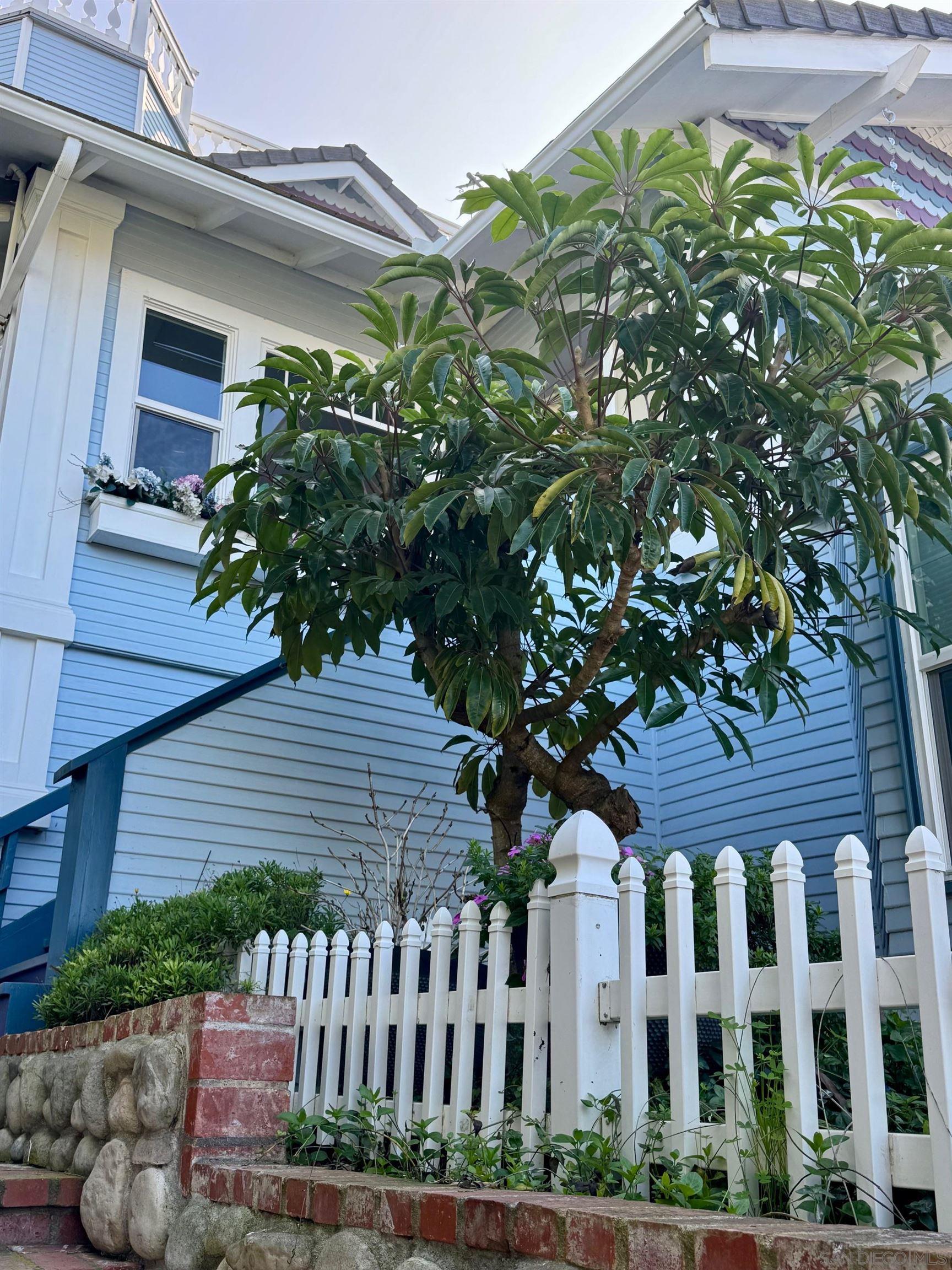 Detail Gallery Image 4 of 42 For 1357  Olivet St, La Jolla,  CA 92037 - 4 Beds | 3/1 Baths