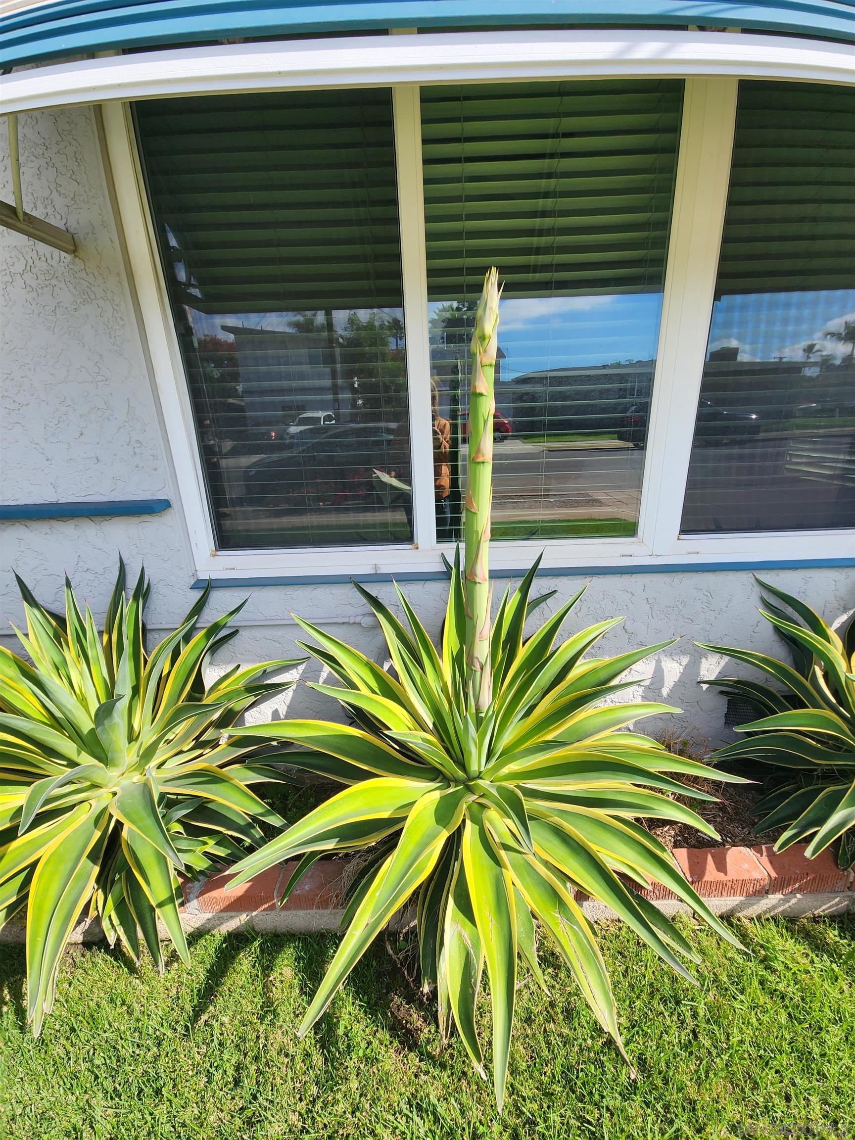 Detail Gallery Image 27 of 28 For 5051  63rd St, San Diego,  CA 92115 - 7 Beds | 5 Baths