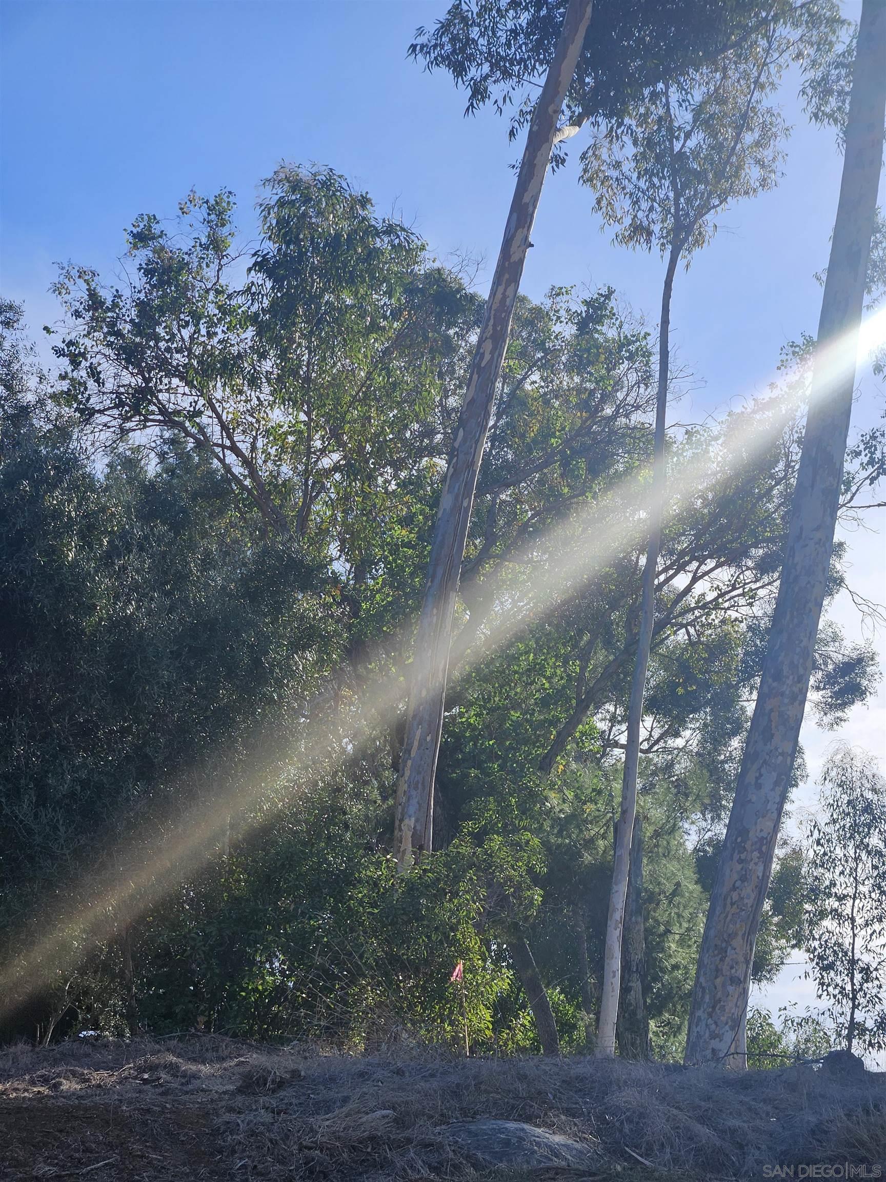 Detail Gallery Image 39 of 47 For , La Mesa,  CA 91941 - – Beds | – Baths