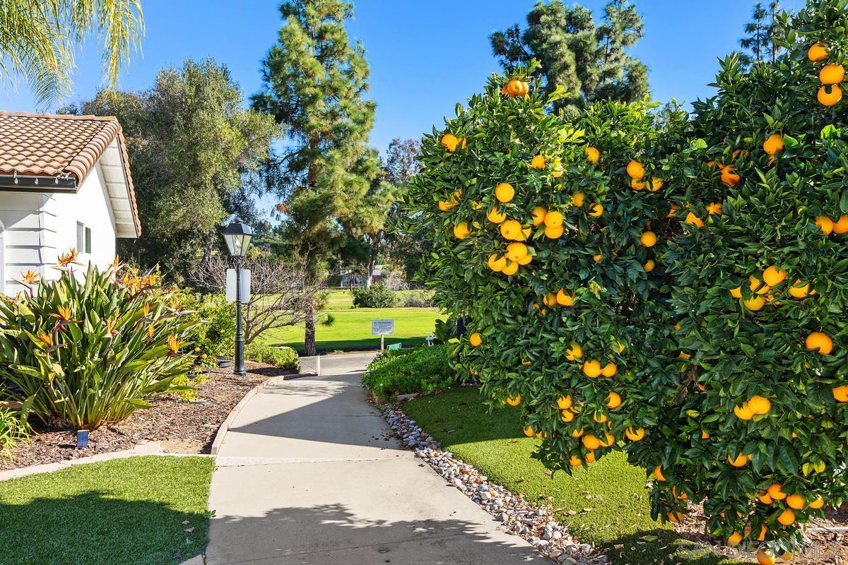 Detail Gallery Image 31 of 33 For 12039  Caminito Cadena, San Diego,  CA 92128 - 2 Beds | 2 Baths