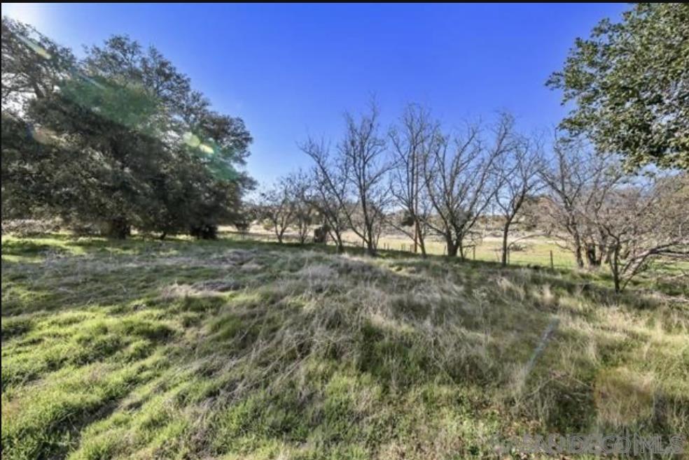 Detail Gallery Image 11 of 19 For , Boulevard,  CA 91905 - – Beds | – Baths