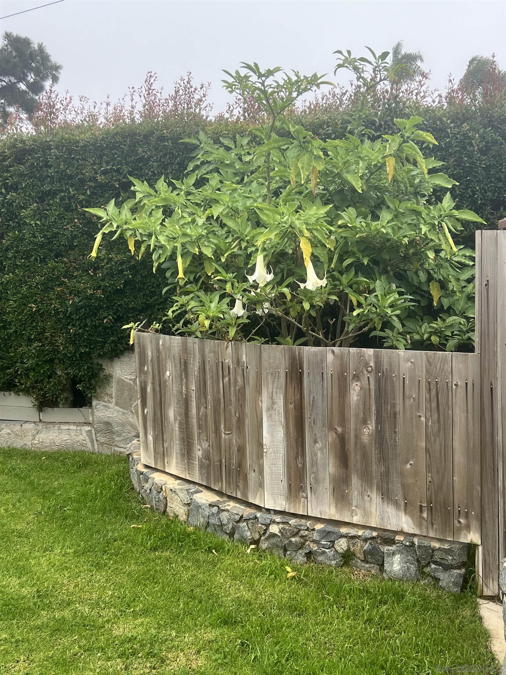 Detail Gallery Image 30 of 34 For 1065  Moana Dr, San Diego,  CA 92107 - 3 Beds | 2 Baths