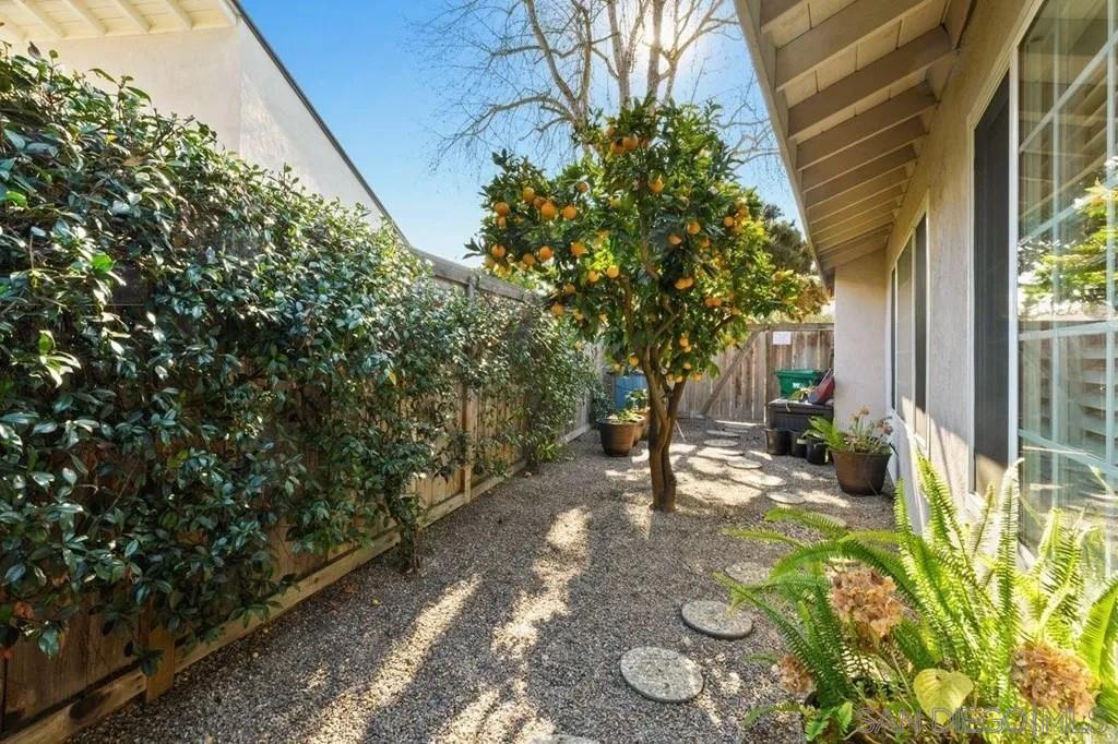 Detail Gallery Image 24 of 32 For 3868  Avenida Feliz, Rancho Santa Fe,  CA 92091 - 4 Beds | 3 Baths