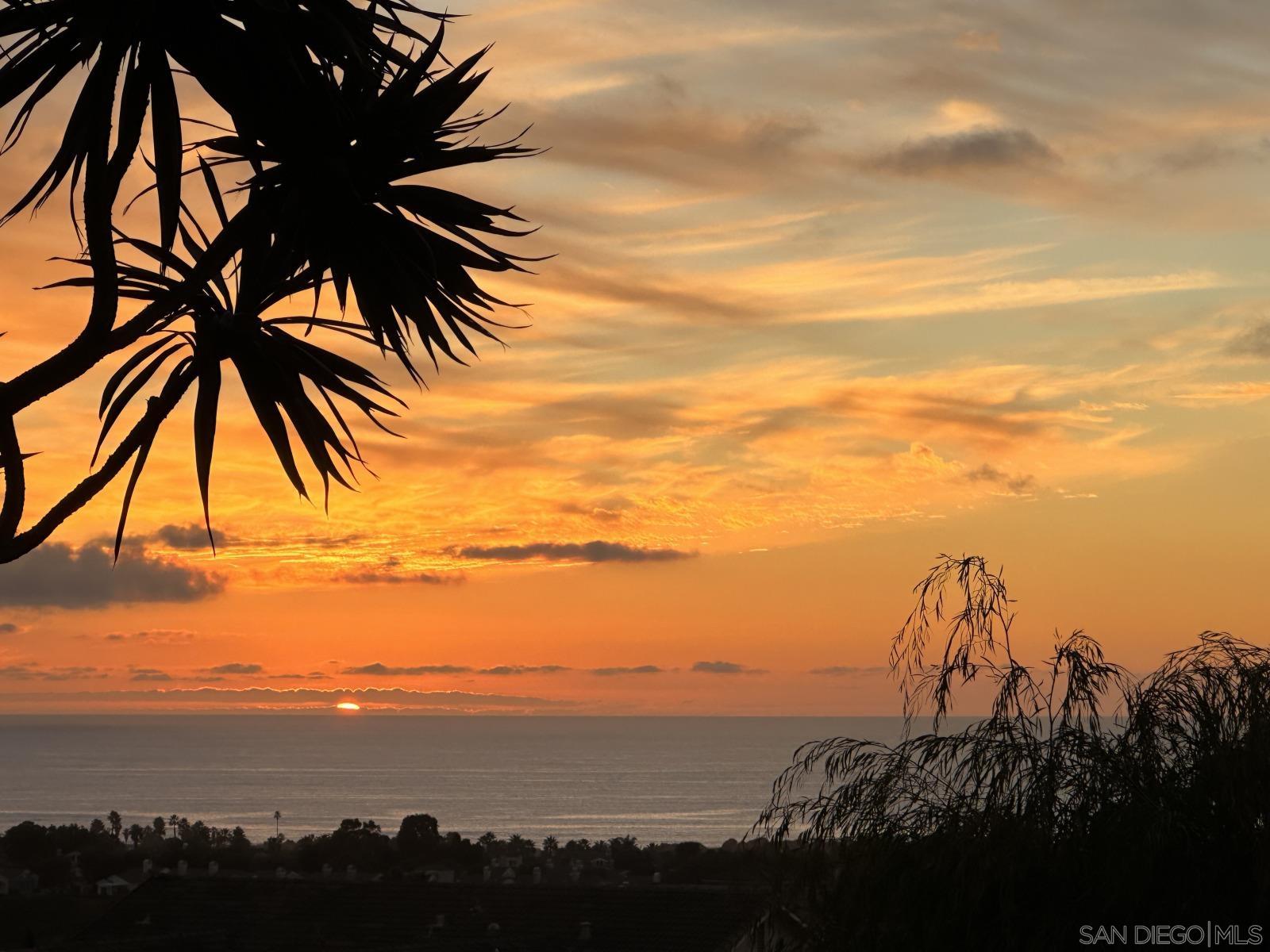 Detail Gallery Image 50 of 57 For 7215  Daffodil Pl, Carlsbad,  CA 92011 - 3 Beds | 3 Baths