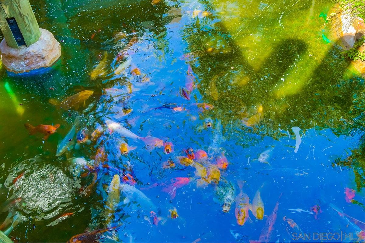 Detail Gallery Image 26 of 37 For 999 N Pacific St  #D200,  Oceanside,  CA 92054 - 1 Beds | 1 Baths