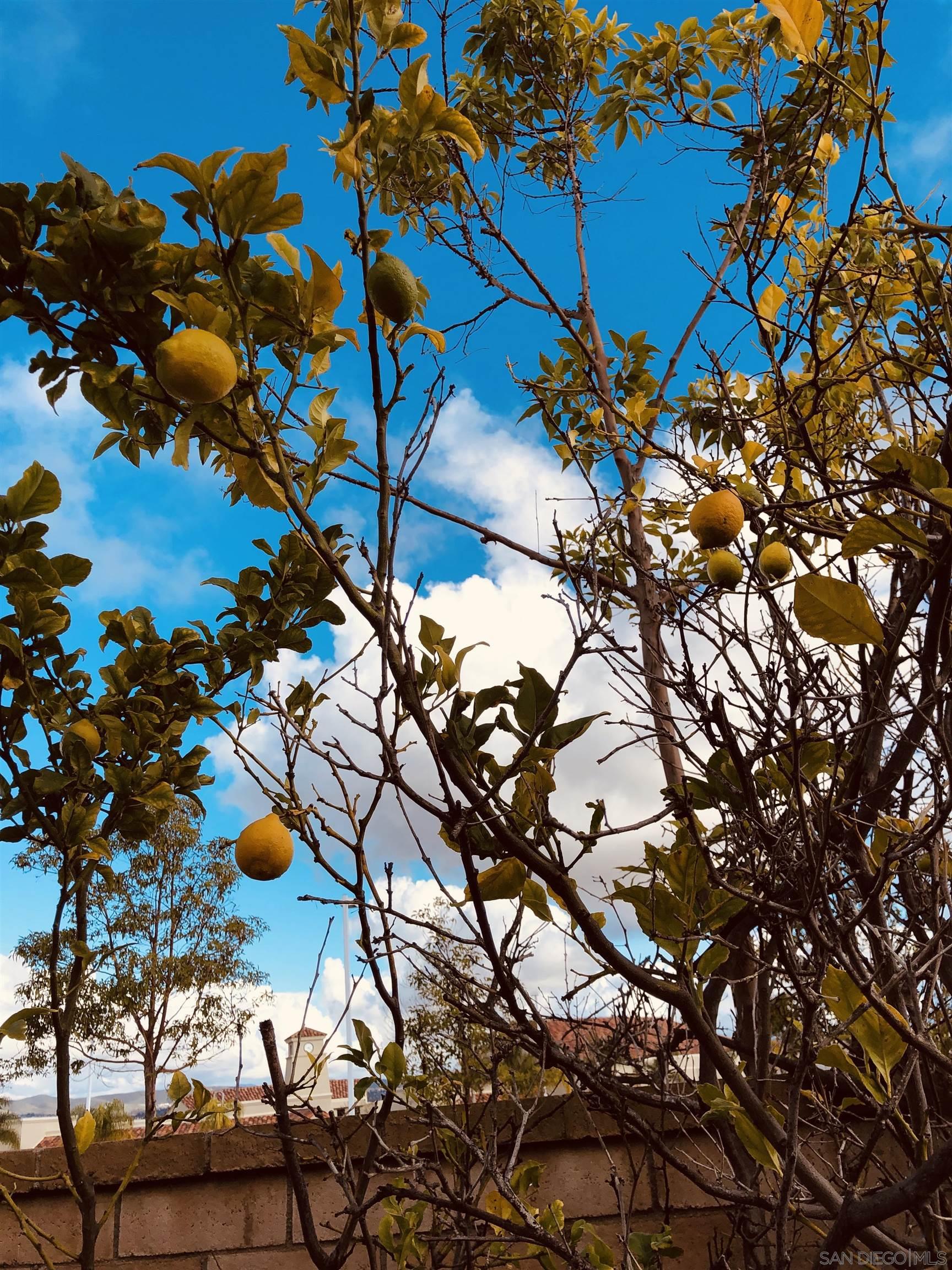 Detail Gallery Image 24 of 25 For 12985  Seabreeze Farms Dr, San Diego,  CA 92130 - 6 Beds | 4 Baths