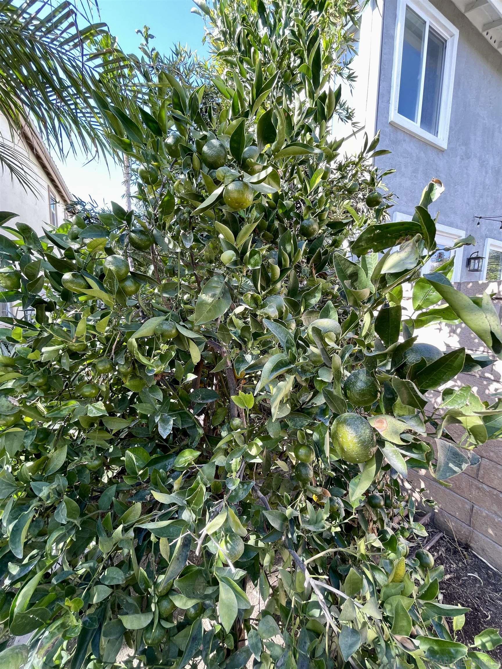 Detail Gallery Image 25 of 25 For 12985  Seabreeze Farms Dr, San Diego,  CA 92130 - 6 Beds | 4 Baths