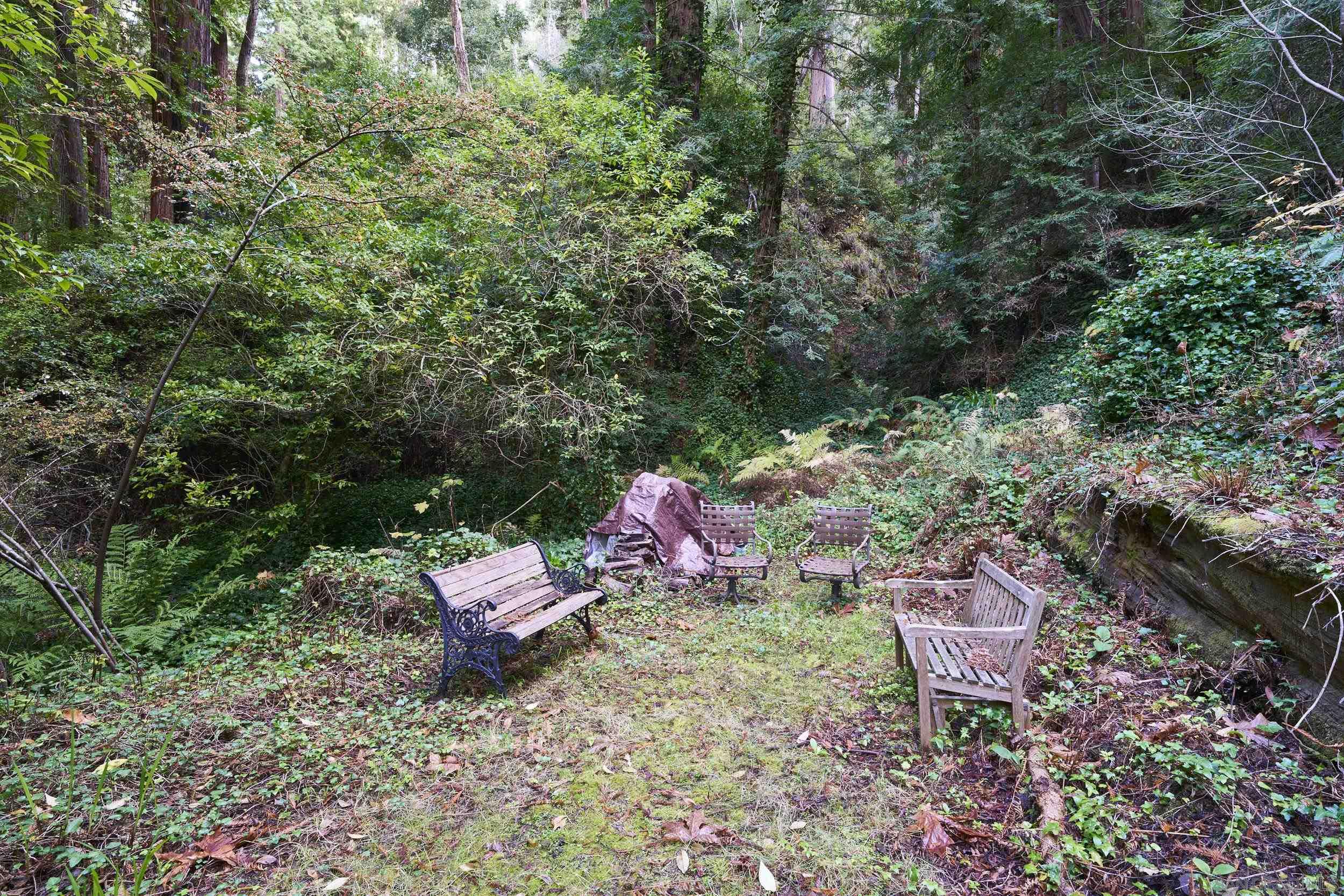 Detail Gallery Image 8 of 10 For 37016  Palo Colorado Rd, Carmel,  CA 93923 - 2 Beds | 1 Baths