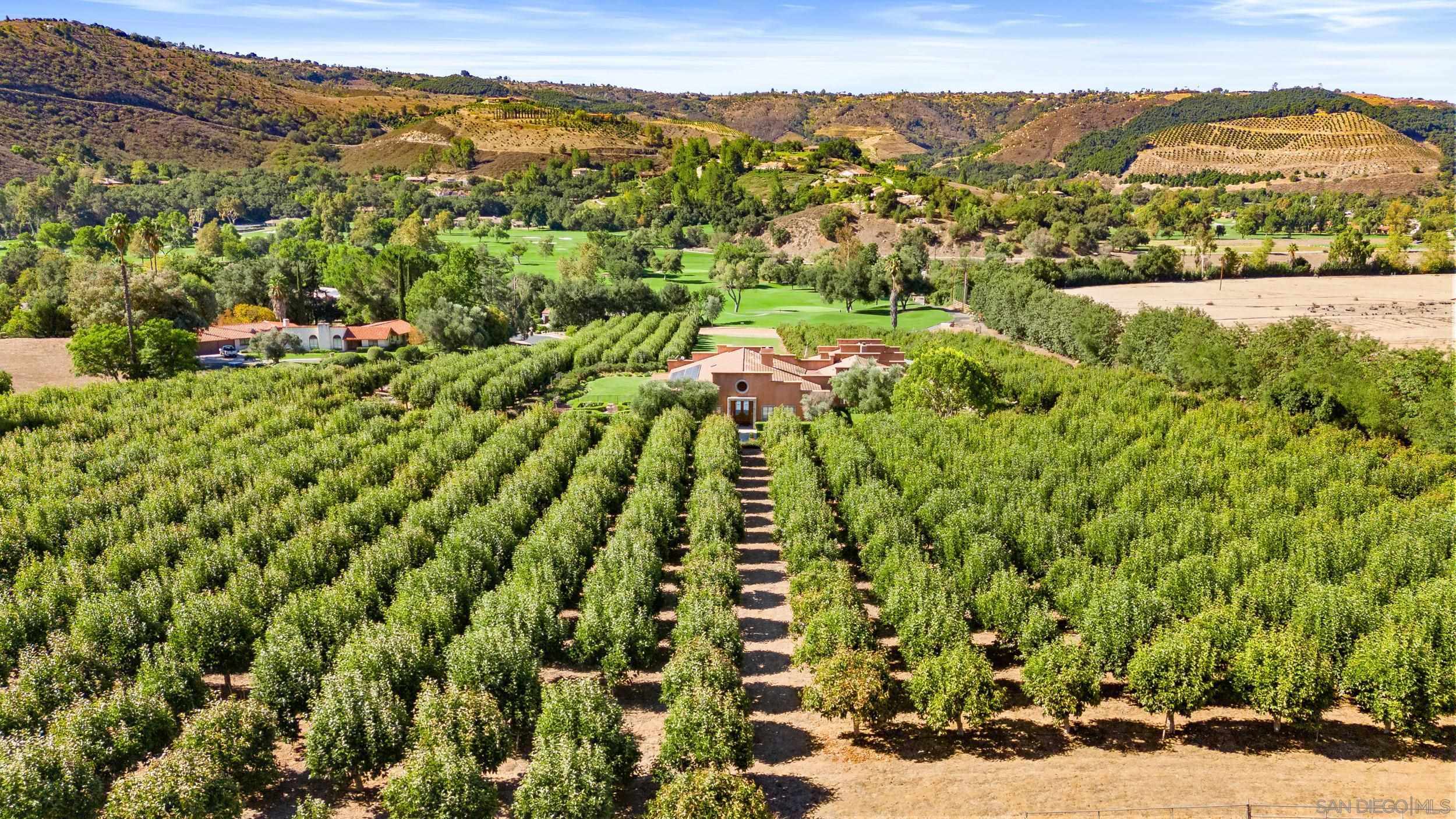 Detail Gallery Image 61 of 75 For 32752  Luiseno Circle Dr, Pauma Valley,  CA 92061 - 4 Beds | 4/1 Baths