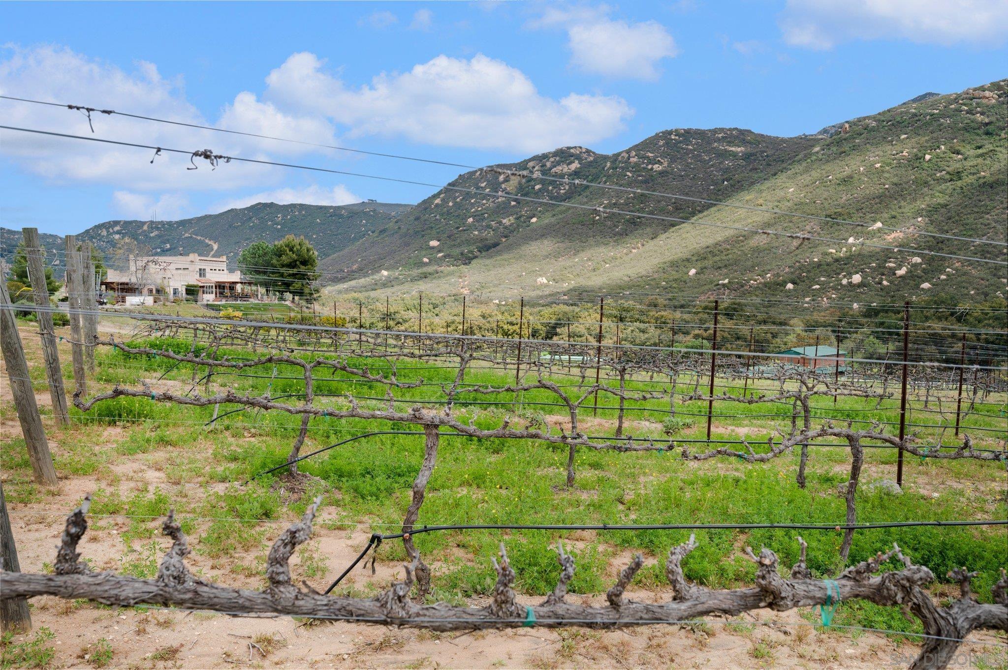 Detail Gallery Image 42 of 71 For 17287  Oak Hollow Road, Ramona,  CA 92065 - 5 Beds | 3/1 Baths