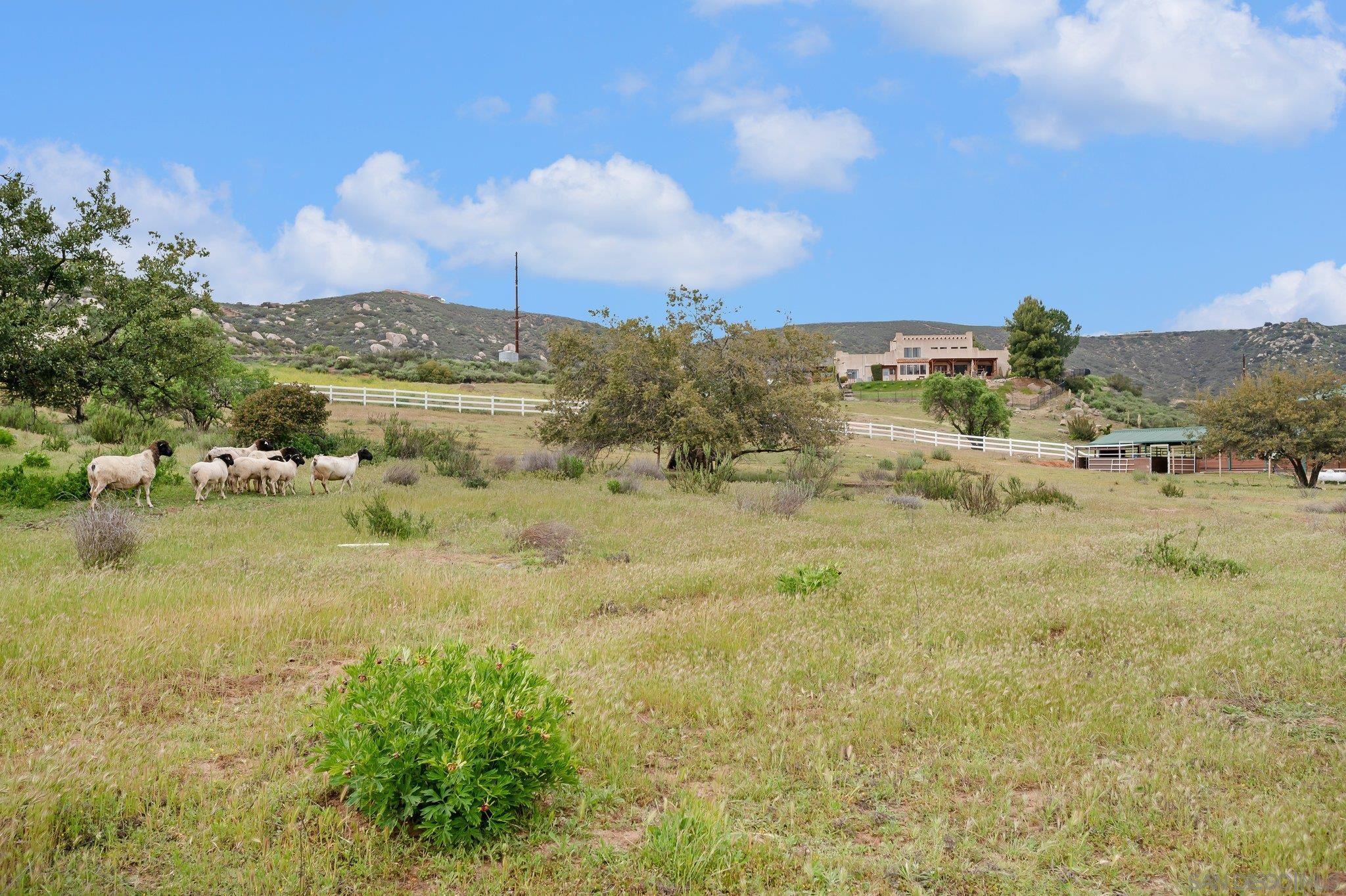 Detail Gallery Image 49 of 71 For 17287  Oak Hollow Road, Ramona,  CA 92065 - 5 Beds | 3/1 Baths