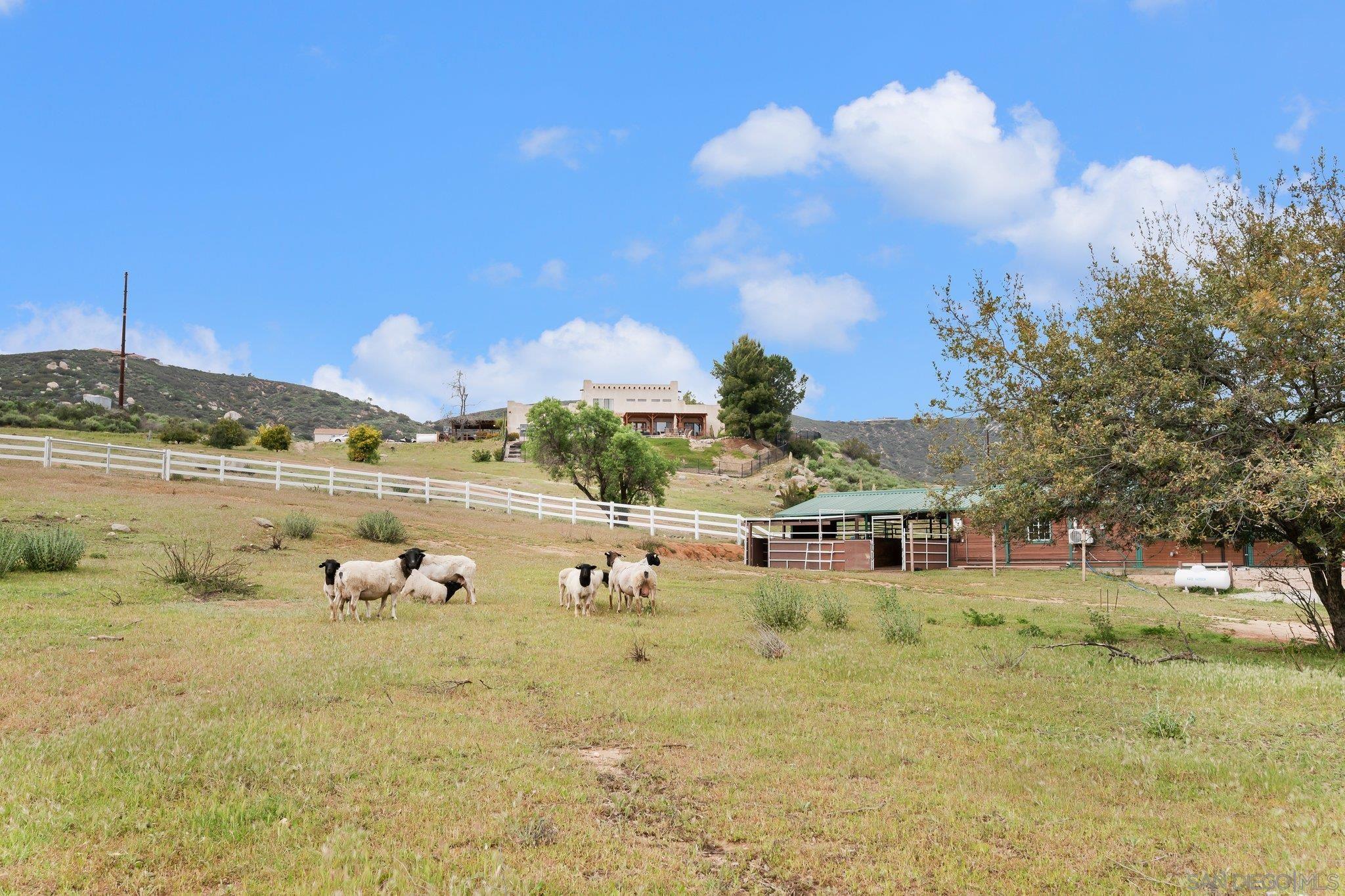 Detail Gallery Image 50 of 71 For 17287  Oak Hollow Road, Ramona,  CA 92065 - 5 Beds | 3/1 Baths