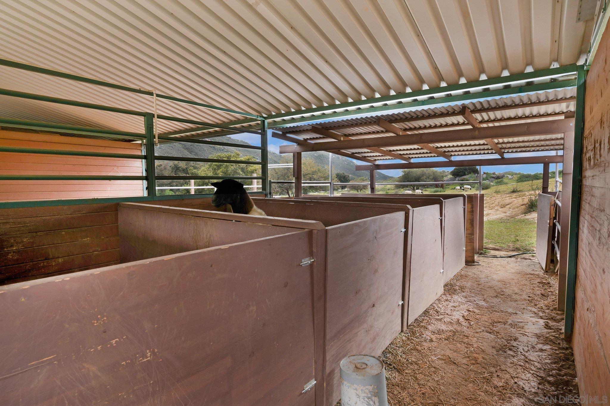 Detail Gallery Image 55 of 71 For 17287  Oak Hollow Road, Ramona,  CA 92065 - 5 Beds | 3/1 Baths