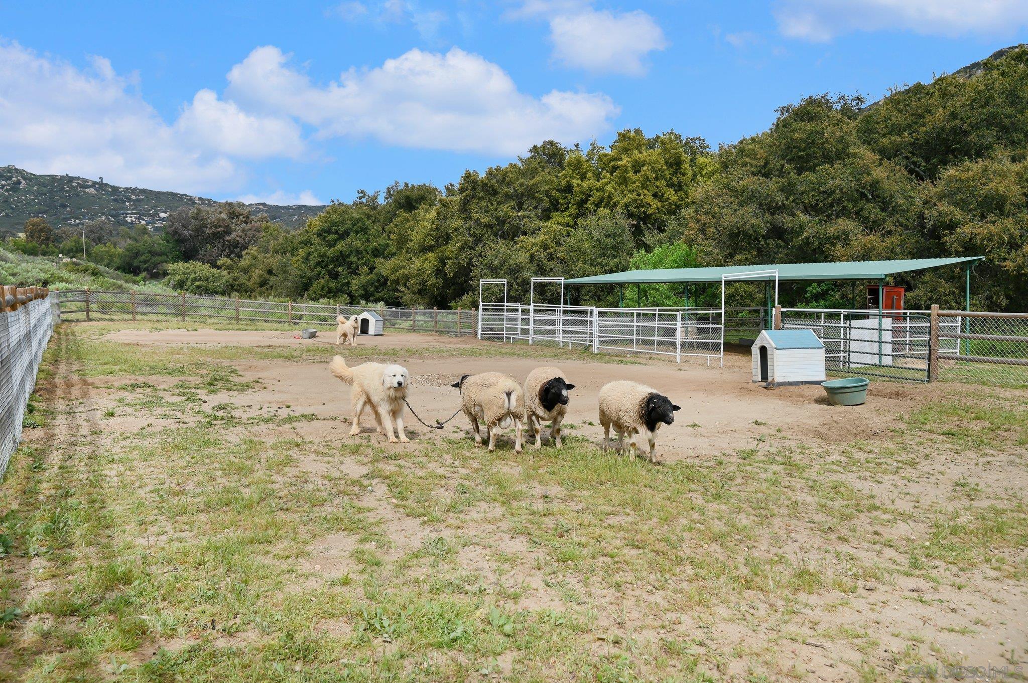 Detail Gallery Image 56 of 71 For 17287  Oak Hollow Road, Ramona,  CA 92065 - 5 Beds | 3/1 Baths