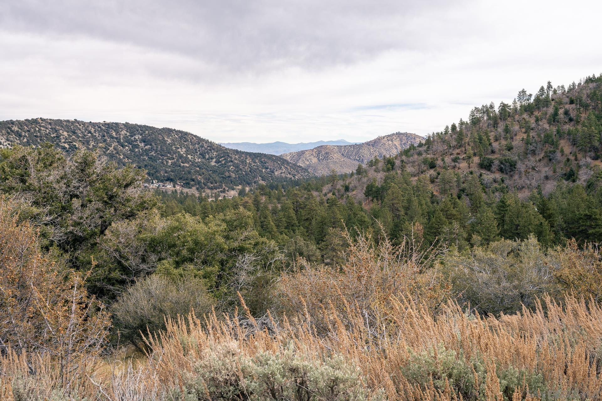 Detail Gallery Image 16 of 52 For , Wrightwood,  CA 92397 - – Beds | – Baths