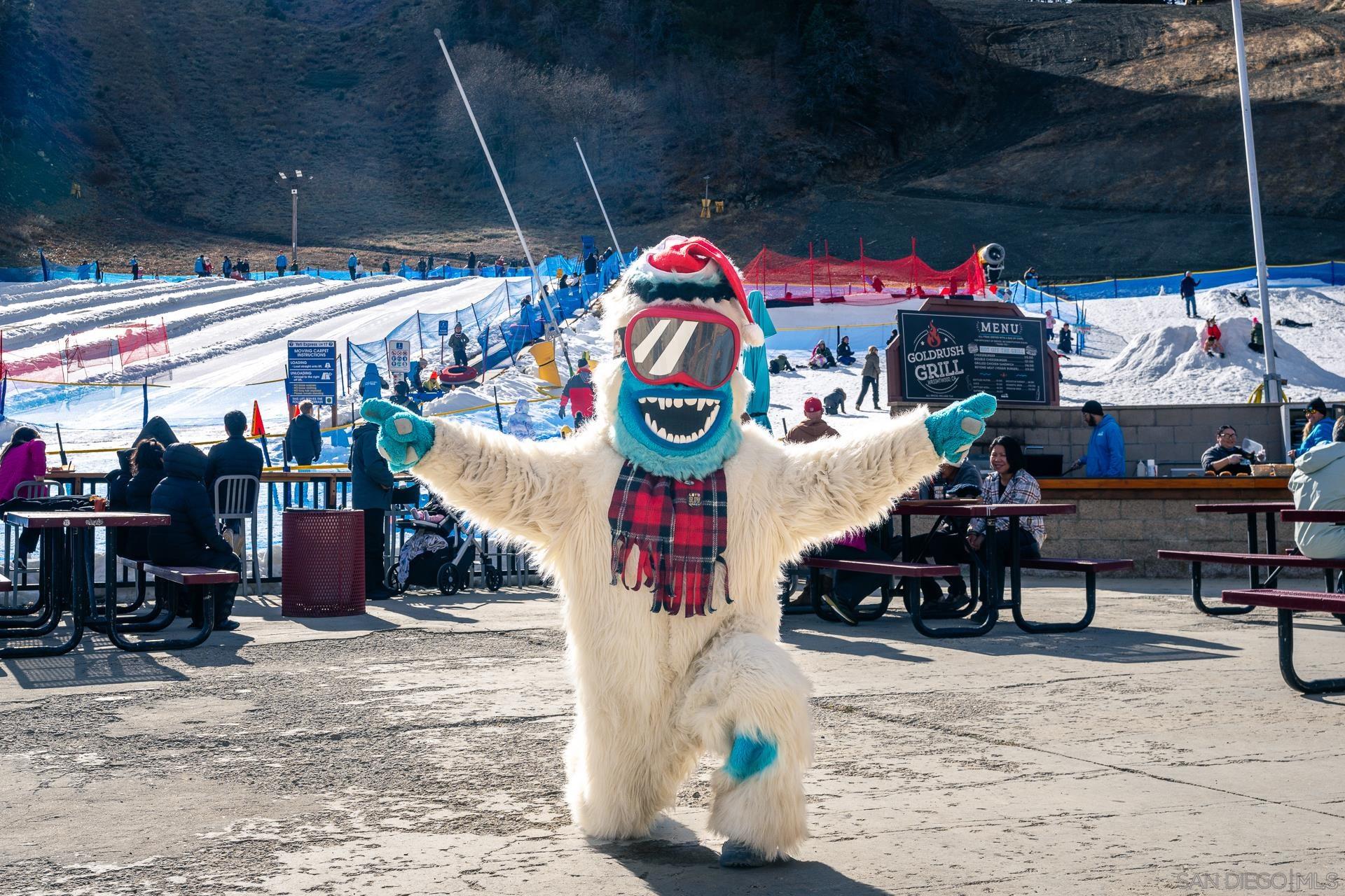 Detail Gallery Image 22 of 52 For , Wrightwood,  CA 92397 - – Beds | – Baths