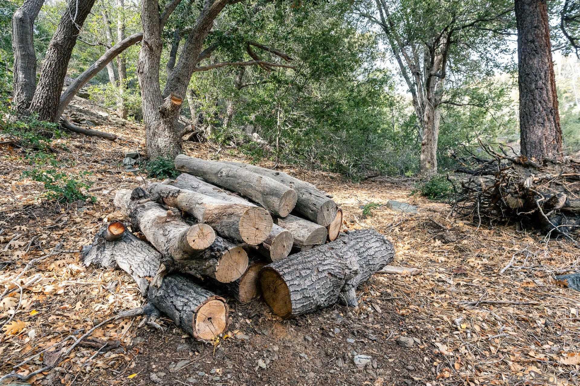 Detail Gallery Image 4 of 52 For , Wrightwood,  CA 92397 - – Beds | – Baths