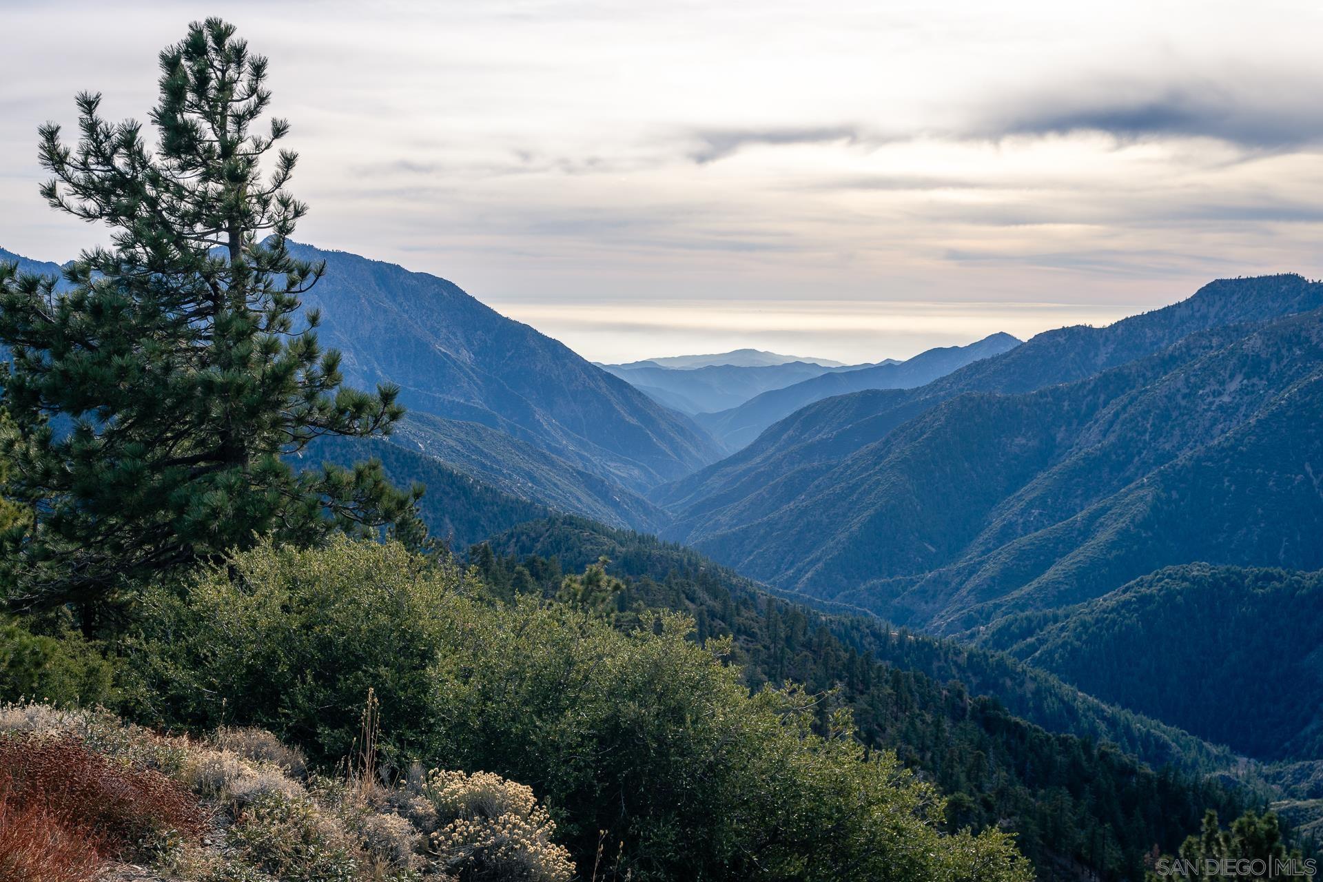 Detail Gallery Image 31 of 52 For , Wrightwood,  CA 92397 - – Beds | – Baths