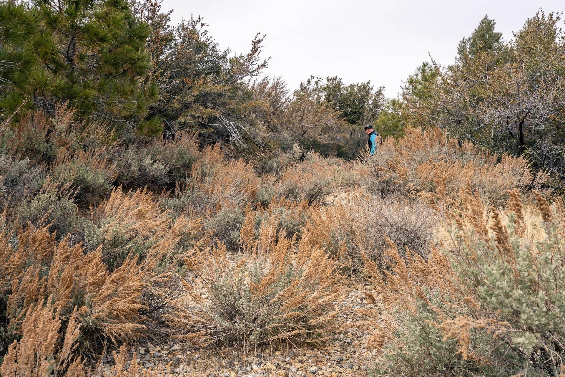 Detail Gallery Image 35 of 52 For , Wrightwood,  CA 92397 - – Beds | – Baths