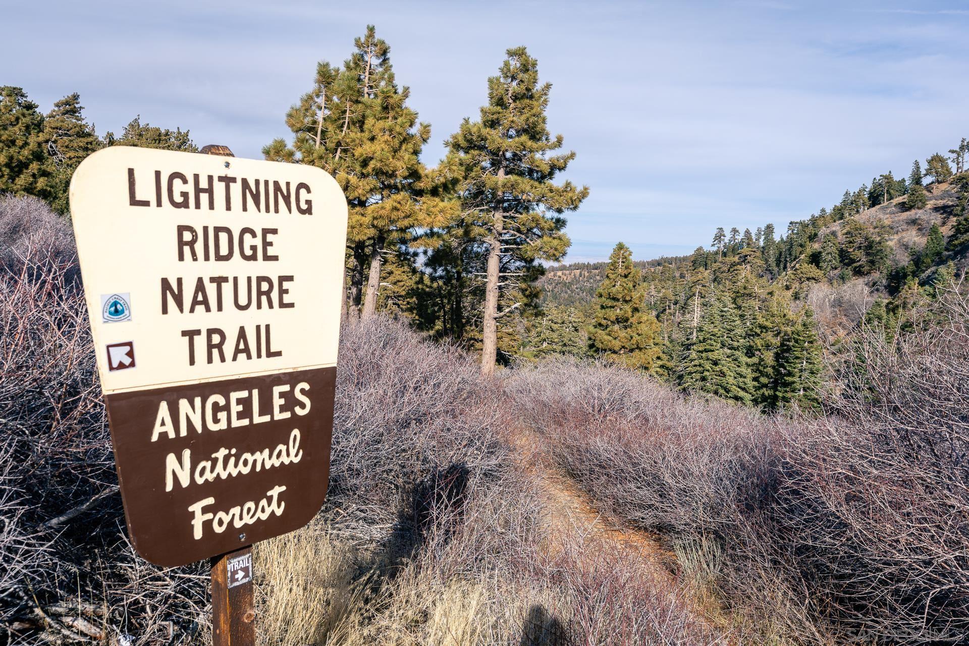 Detail Gallery Image 36 of 52 For , Wrightwood,  CA 92397 - – Beds | – Baths