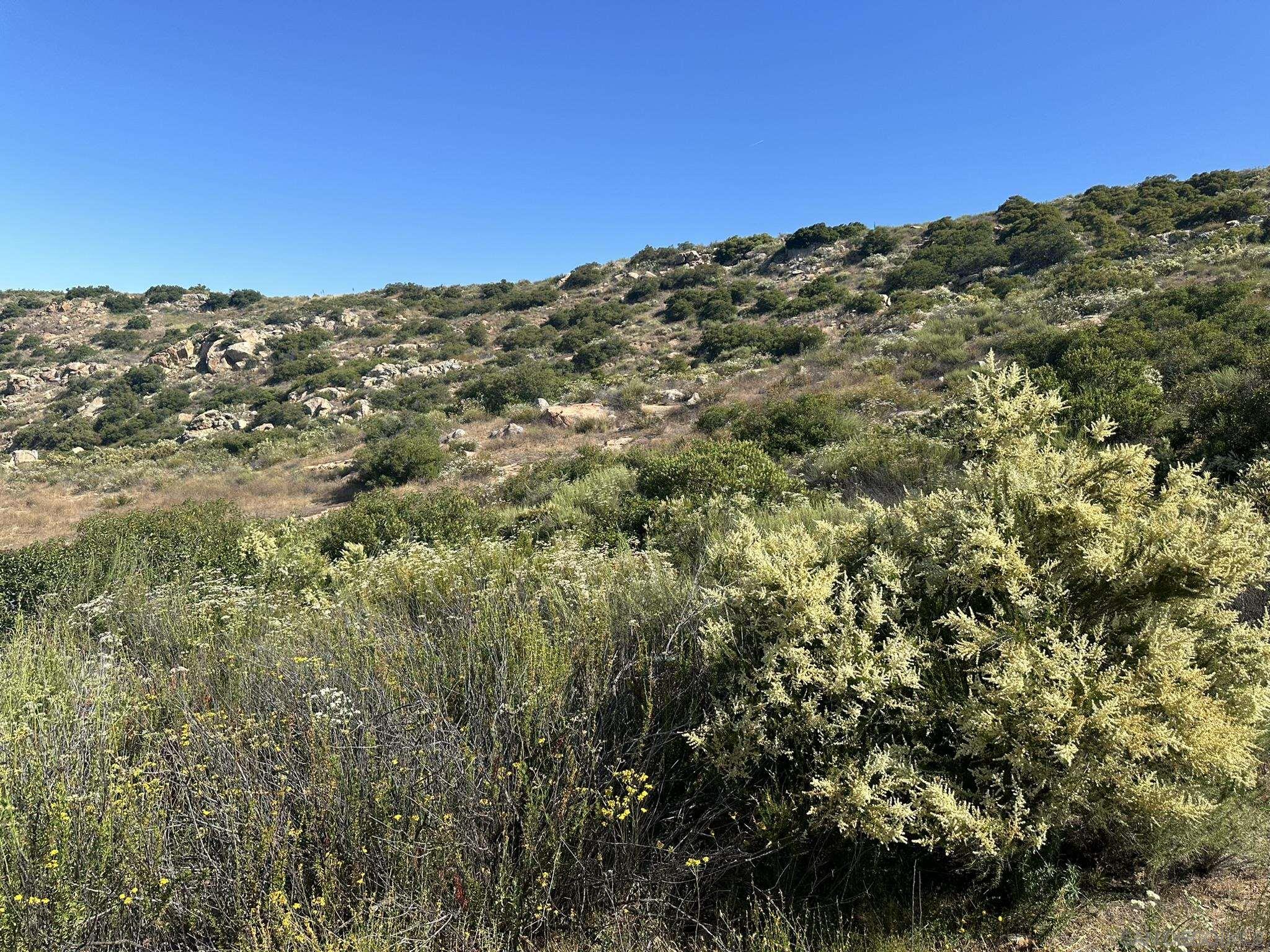 Detail Gallery Image 39 of 56 For , Ramona,  CA 92065 - – Beds | – Baths