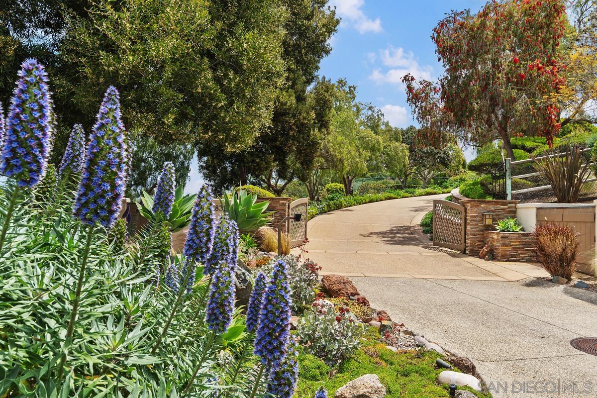 Detail Gallery Image 11 of 23 For 18383  Colina Fuerte, Rancho Santa Fe,  CA 92067 - 6 Beds | 6/2 Baths