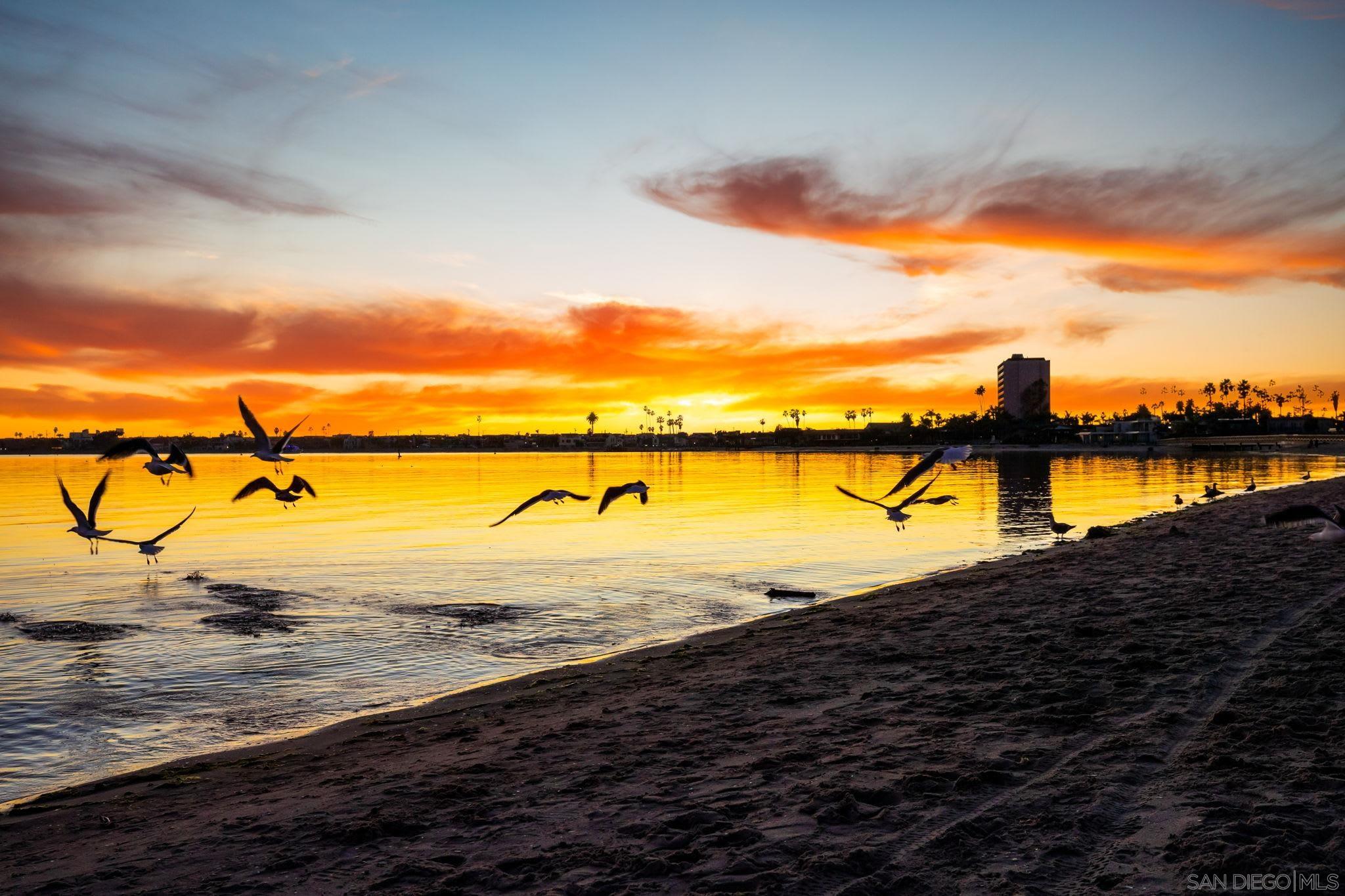 Detail Gallery Image 2 of 45 For 1221  Parker Pl  21, San Diego,  CA 92109 - 2 Beds | 3 Baths