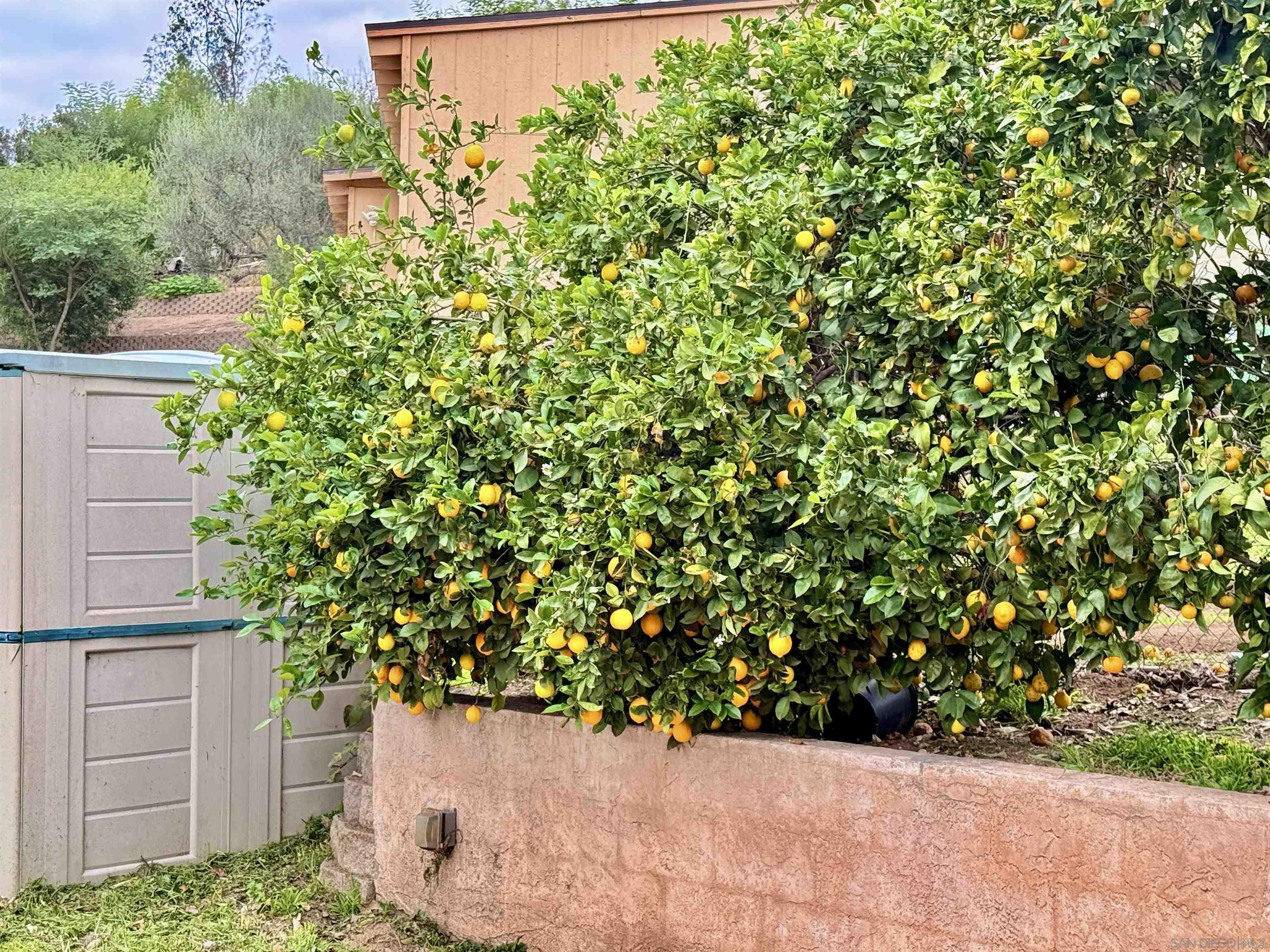 Detail Gallery Image 51 of 54 For 8918  Westhill Rd, Lakeside,  CA 92040 - 4 Beds | 2 Baths