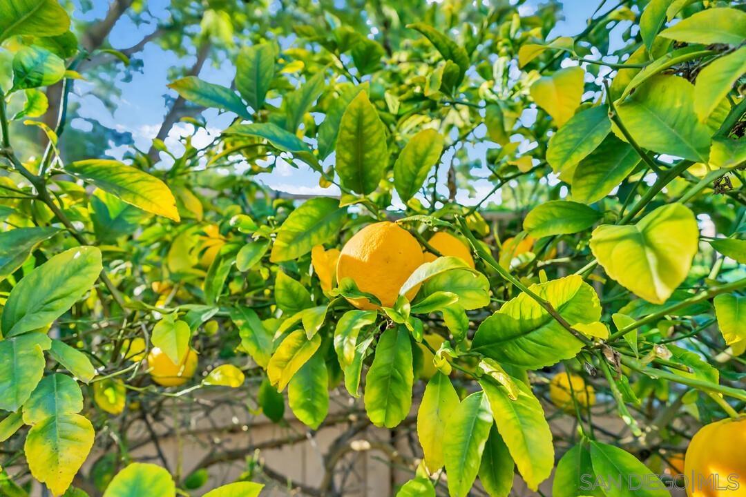 Detail Gallery Image 38 of 72 For 18910  Caminito Cantilena  #10,  San Diego,  CA 92128 - 3 Beds | 2/1 Baths