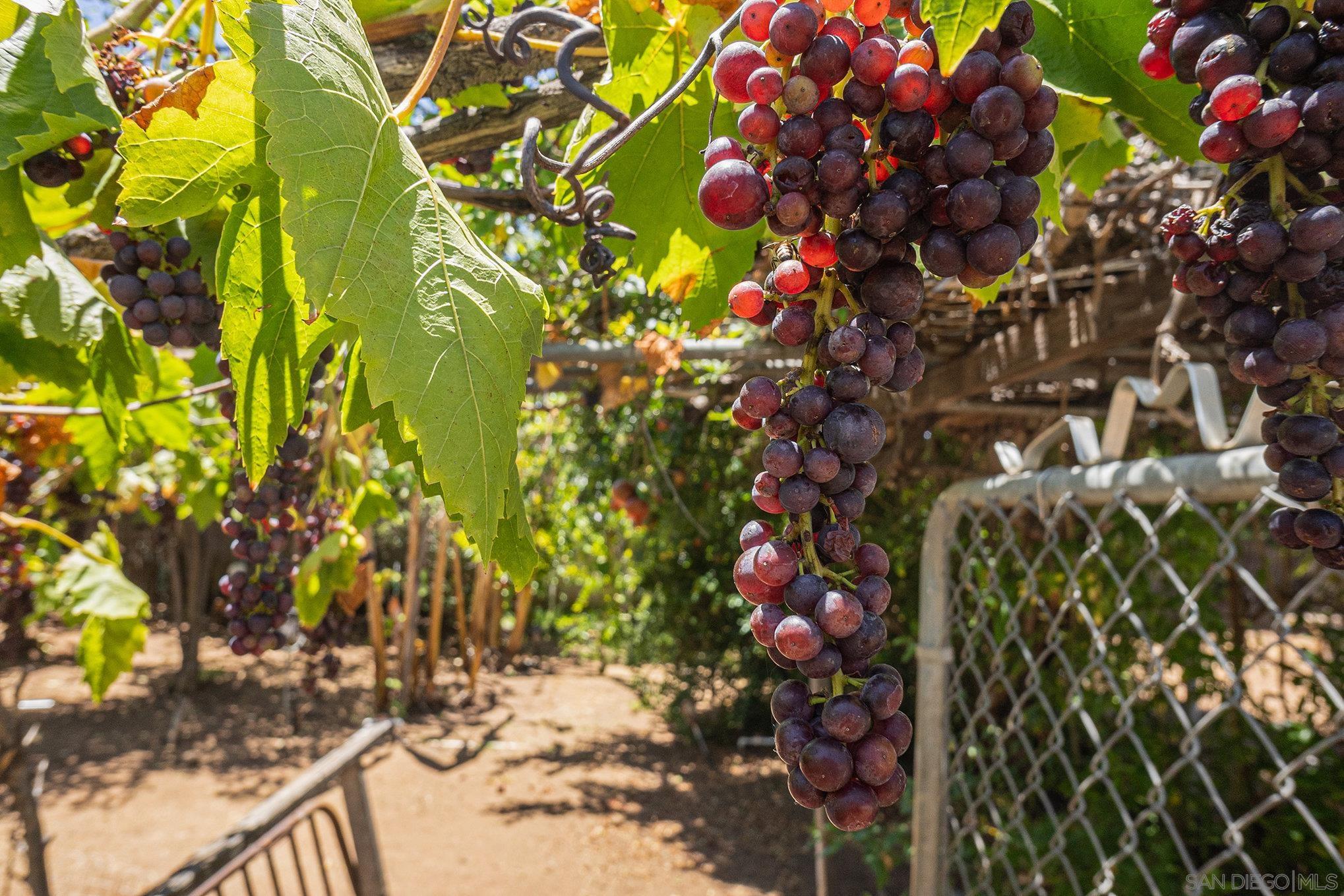 Detail Gallery Image 15 of 56 For 74  E St E, Chula Vista,  CA 91910 - 3 Beds | 2 Baths