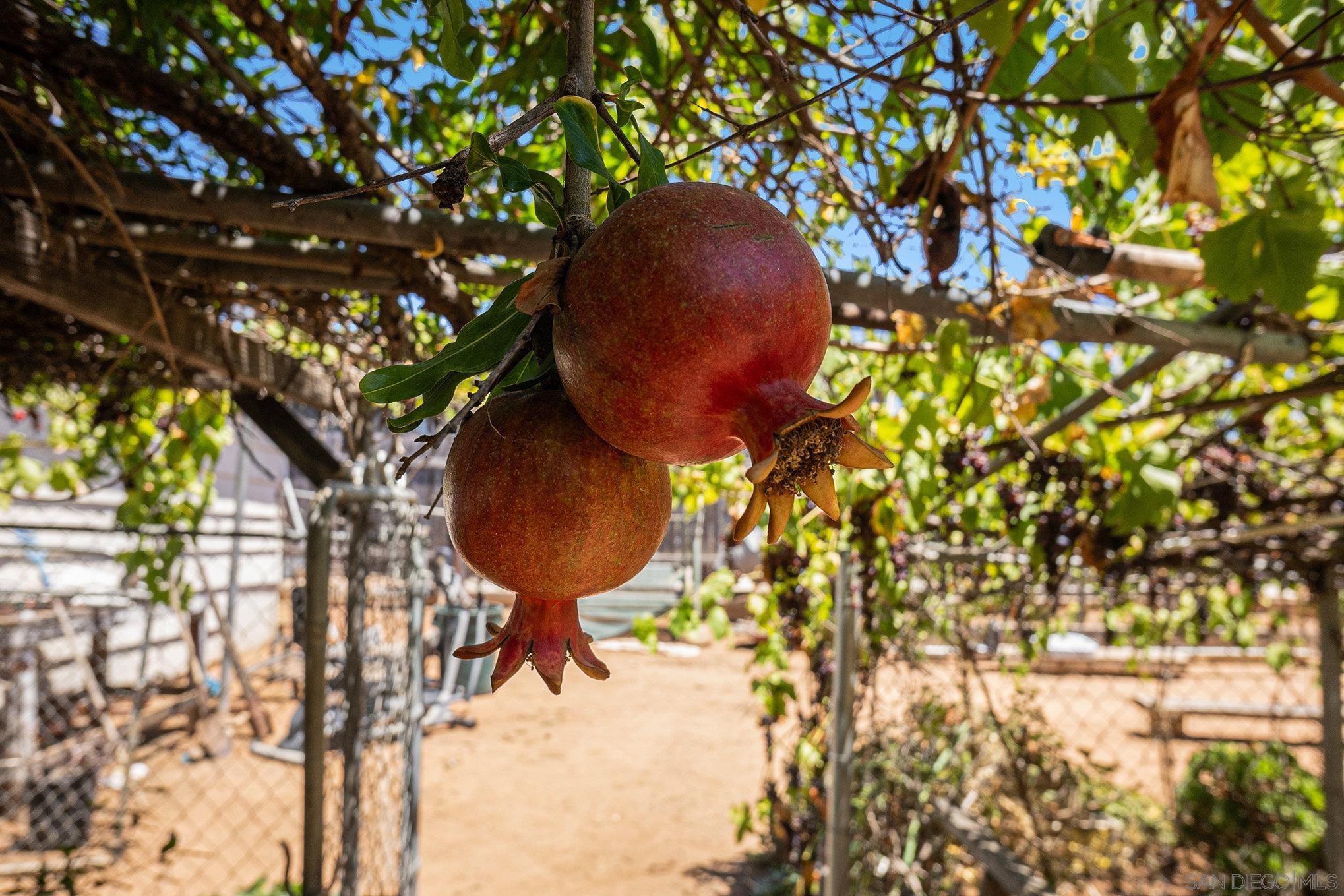 Detail Gallery Image 21 of 56 For 74  E St E, Chula Vista,  CA 91910 - 3 Beds | 2 Baths