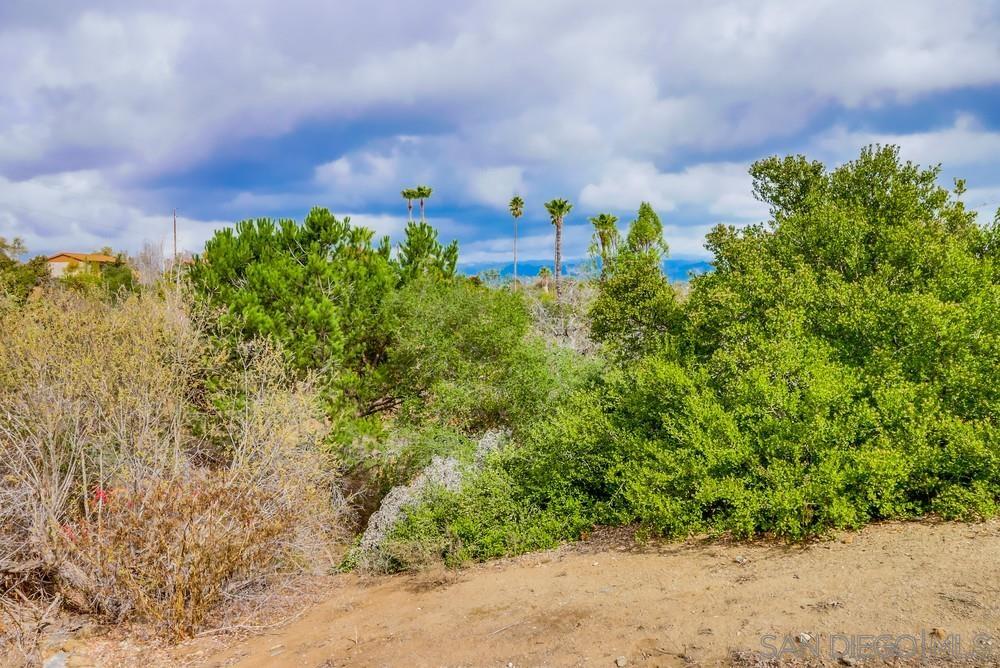 Detail Gallery Image 75 of 75 For 1152  via Conejo, Escondido,  CA 92029 - 4 Beds | 3 Baths