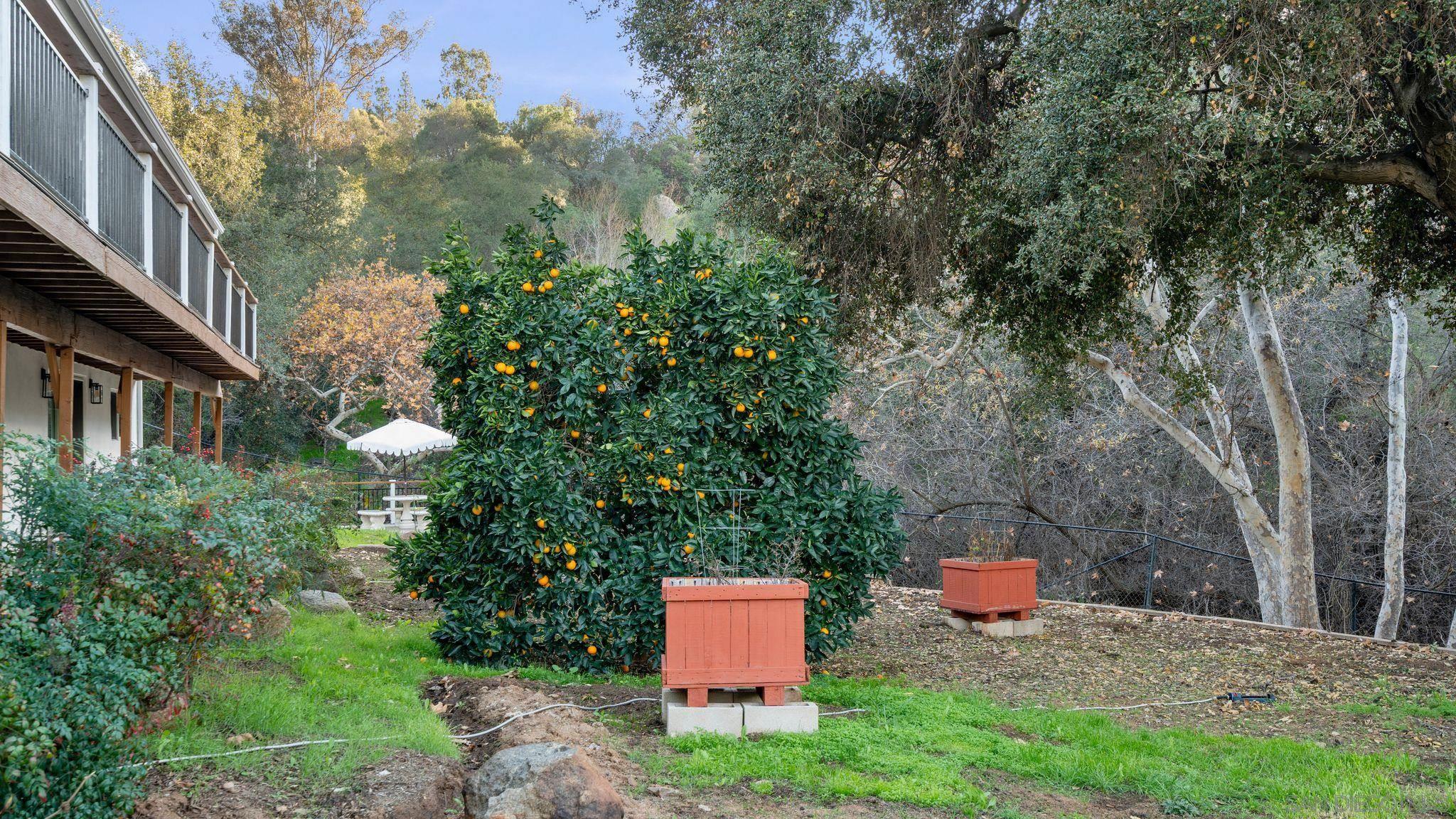 Detail Gallery Image 55 of 74 For 1165  Midway Dr, Alpine,  CA 91901 - 4 Beds | 4 Baths