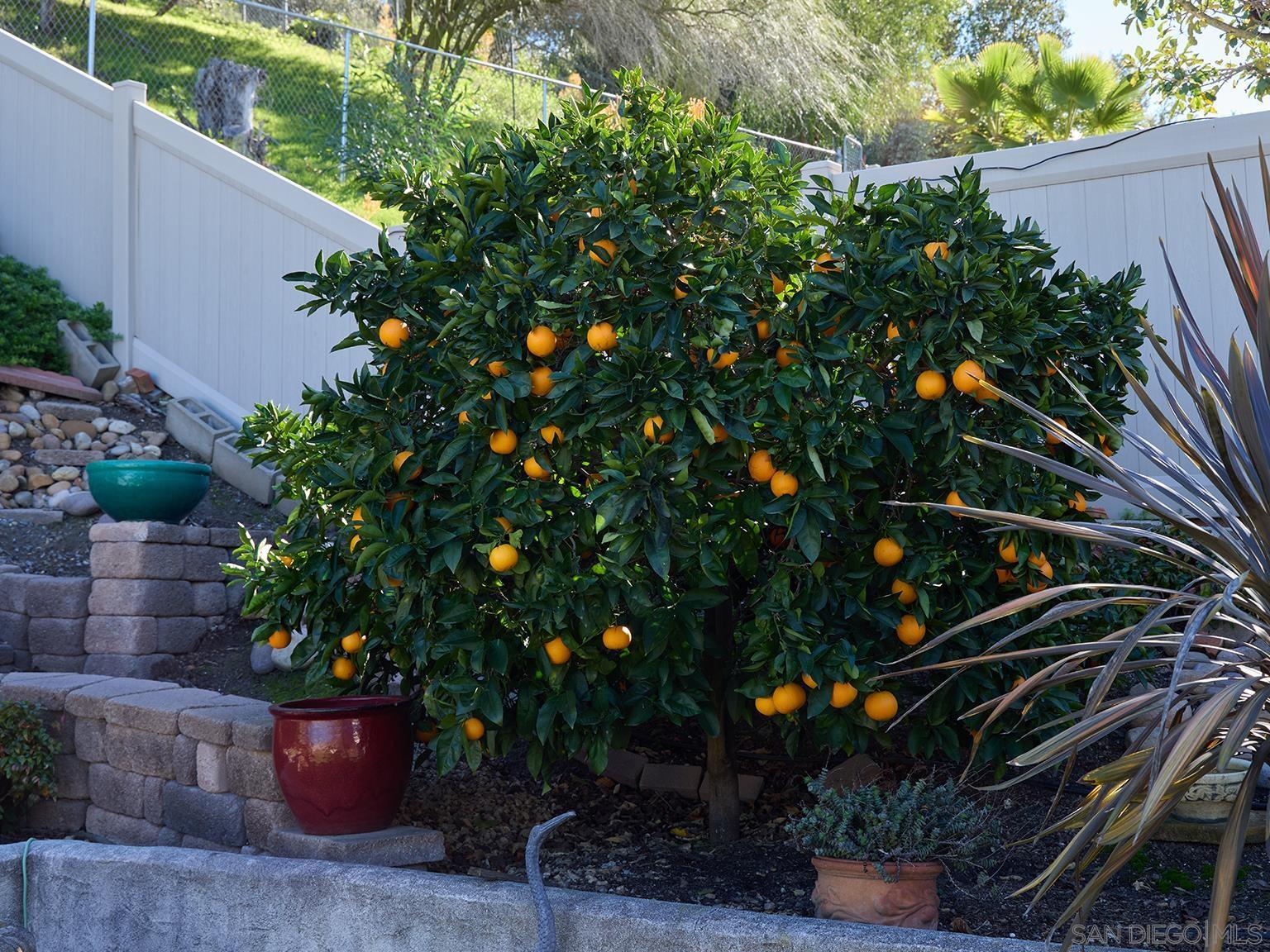 Detail Gallery Image 27 of 45 For 7949  Deerfield St, San Diego,  CA 92120 - 3 Beds | 2 Baths
