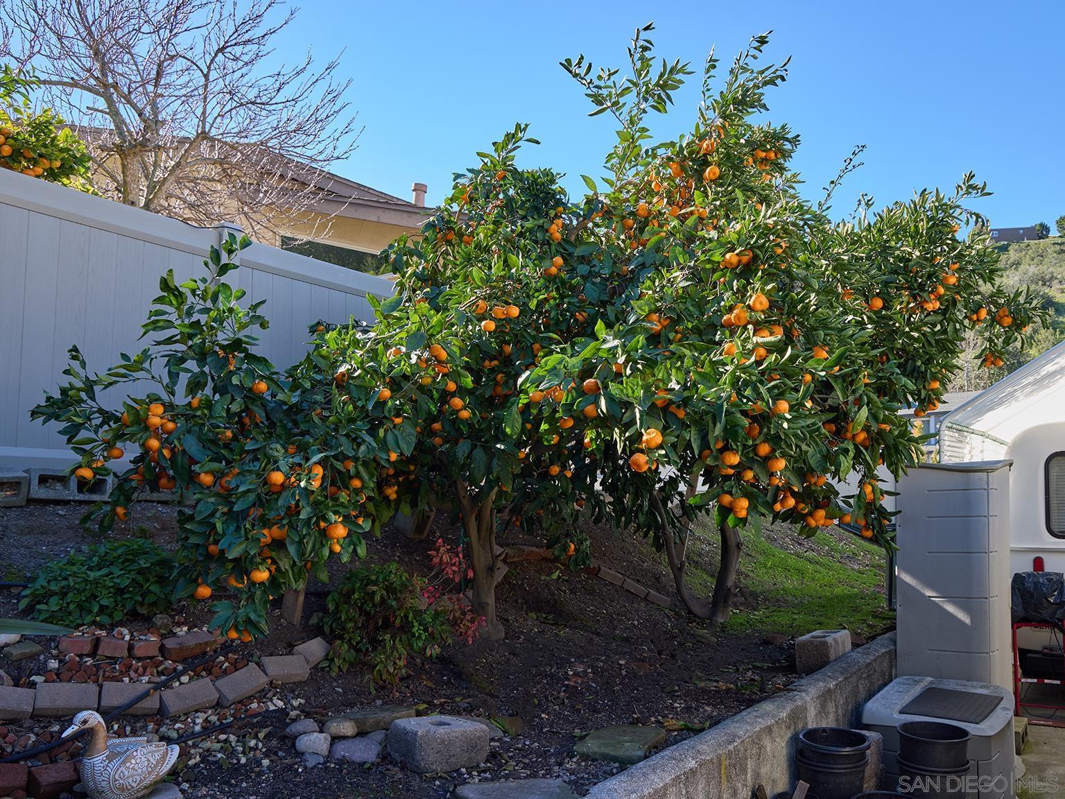 Detail Gallery Image 43 of 45 For 7949  Deerfield St, San Diego,  CA 92120 - 3 Beds | 2 Baths