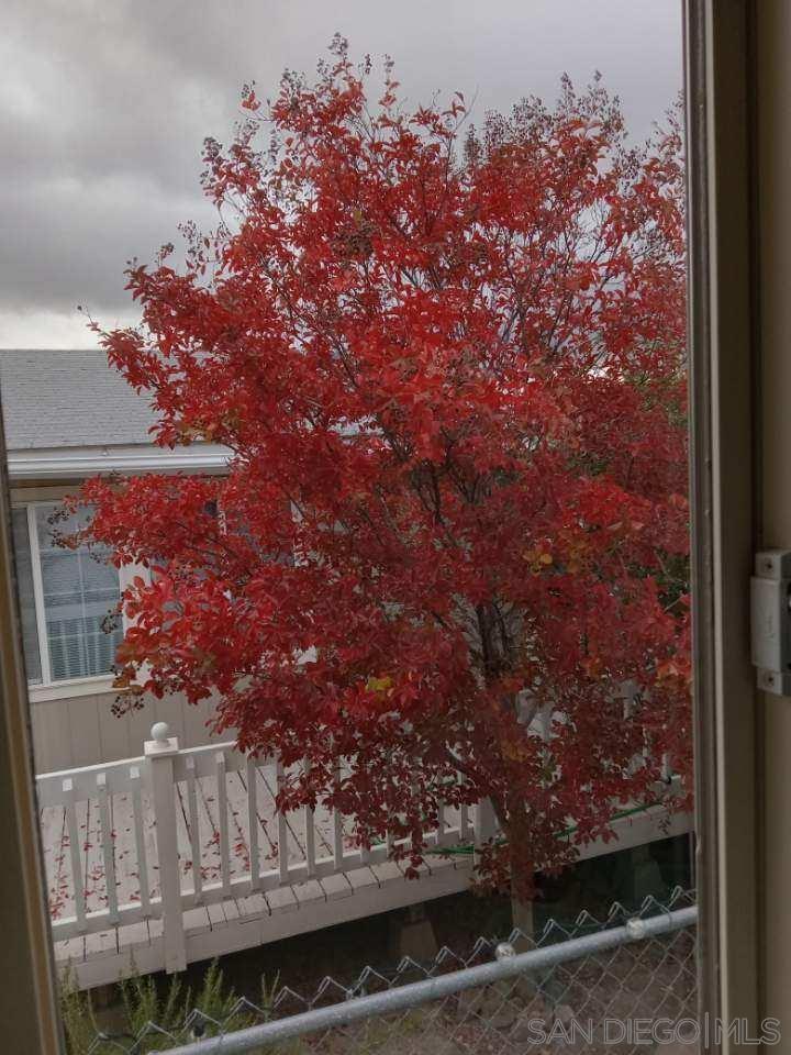 Detail Gallery Image 43 of 55 For 35109  Highway 79  Sp #137,  Warner Springs,  CA 92086 - 3 Beds | 2 Baths