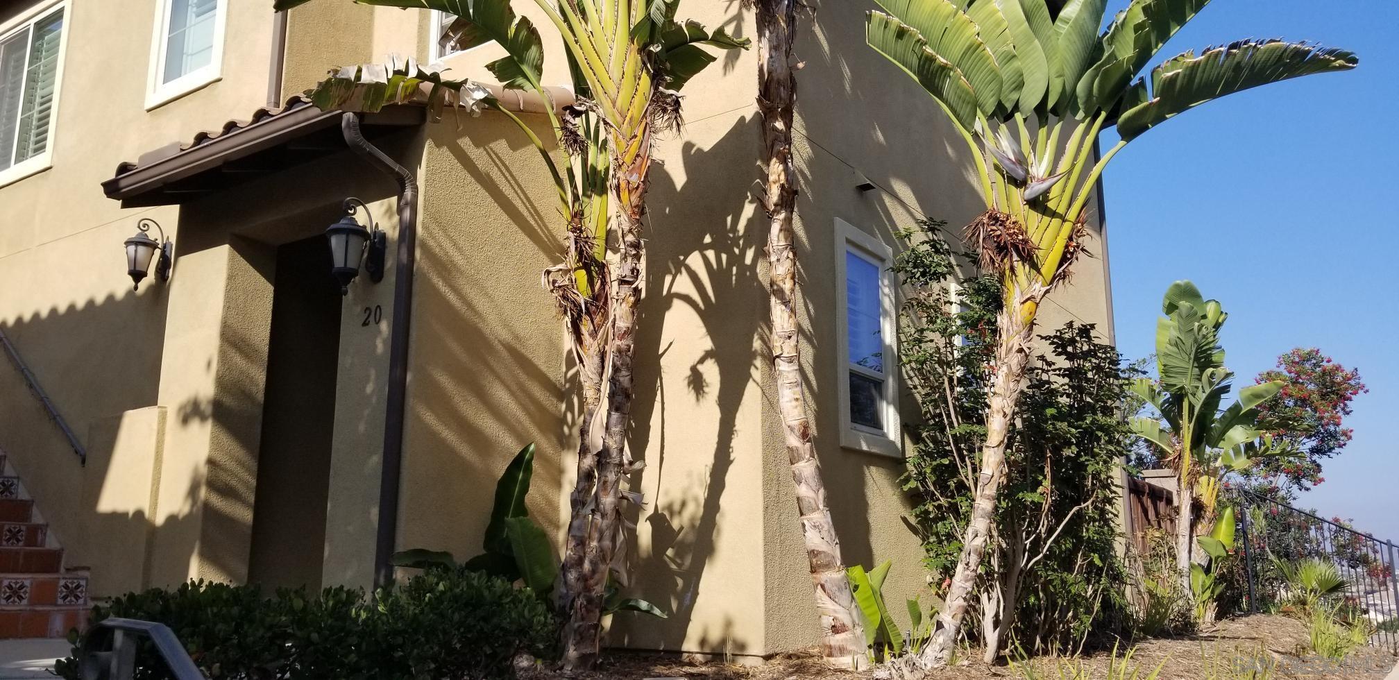 Detail Gallery Image 3 of 23 For 2236  Antonio  20, Chula Vista,  CA 91915 - 4 Beds | 3 Baths