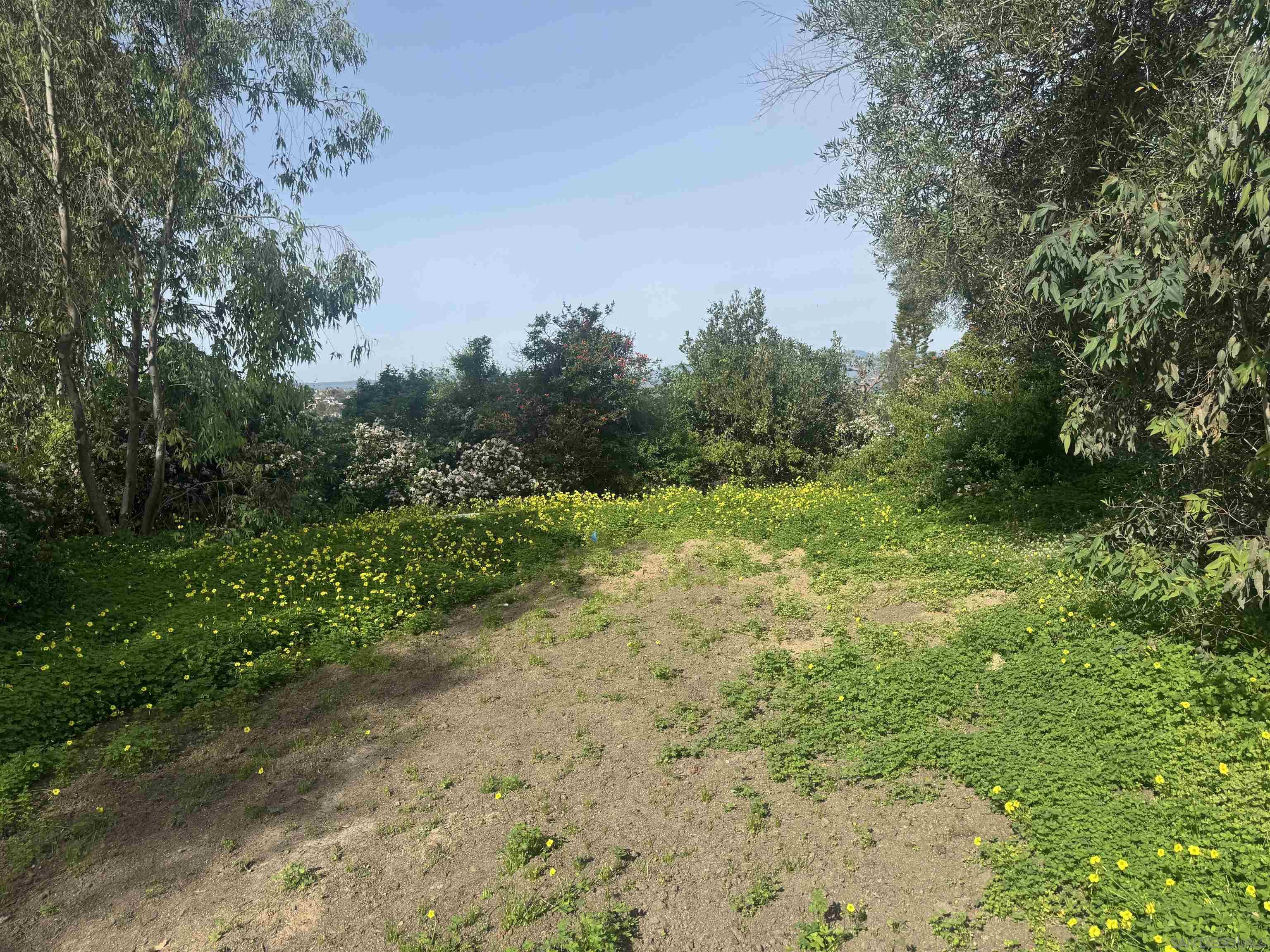 Detail Gallery Image 17 of 29 For 630  Cortez Ave, Vista,  CA 92084 - 3 Beds | 2/1 Baths