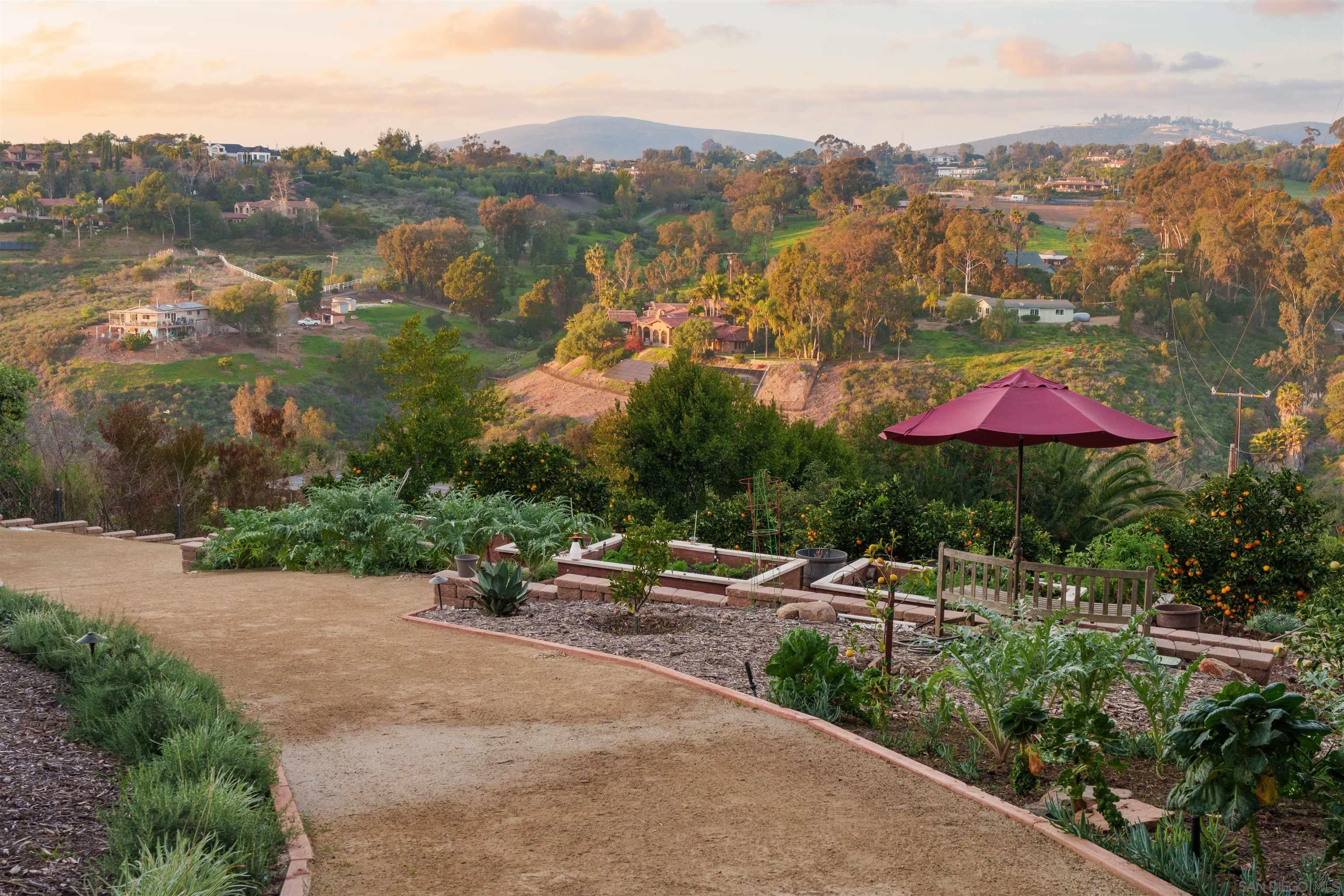 Detail Gallery Image 36 of 41 For 6160  Avenida Del Duque, Rancho Santa Fe,  CA 92067 - 4 Beds | 4/1 Baths
