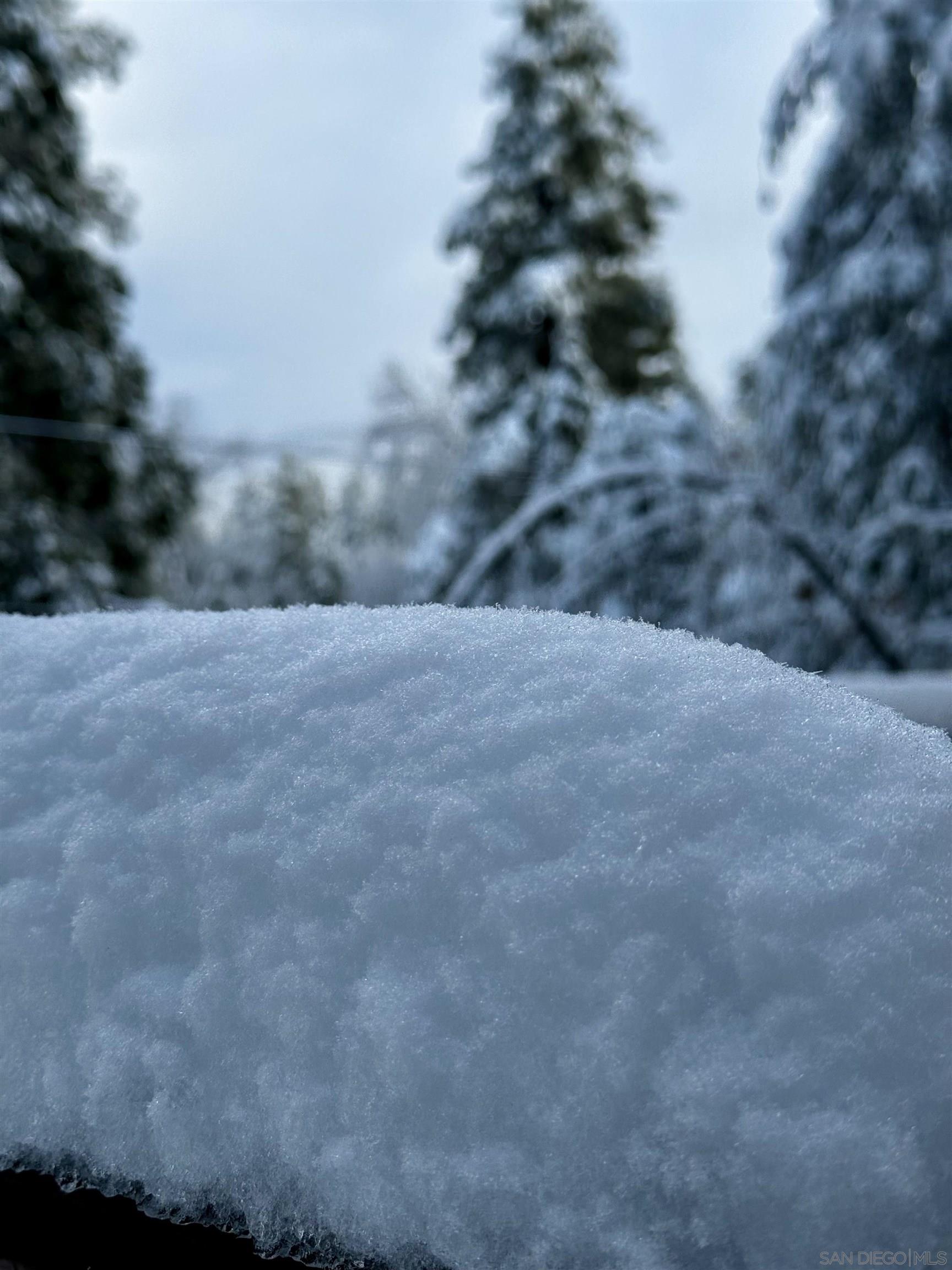 Detail Gallery Image 52 of 53 For 27720  Saunders Meadow Rd, Idyllwild,  CA 92549 - 3 Beds | 2/1 Baths