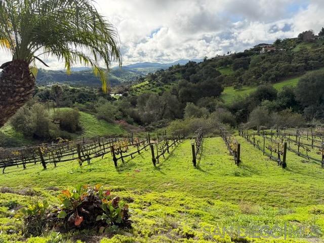 Detail Gallery Image 36 of 61 For 2635  Vista De Palomar, Fallbrook,  CA 92028 - 4 Beds | 3 Baths