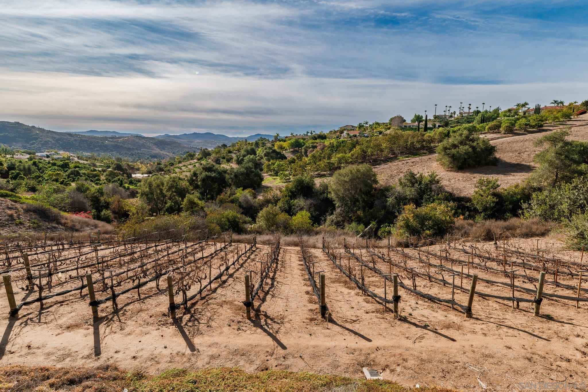 Detail Gallery Image 37 of 61 For 2635  Vista De Palomar, Fallbrook,  CA 92028 - 4 Beds | 3 Baths