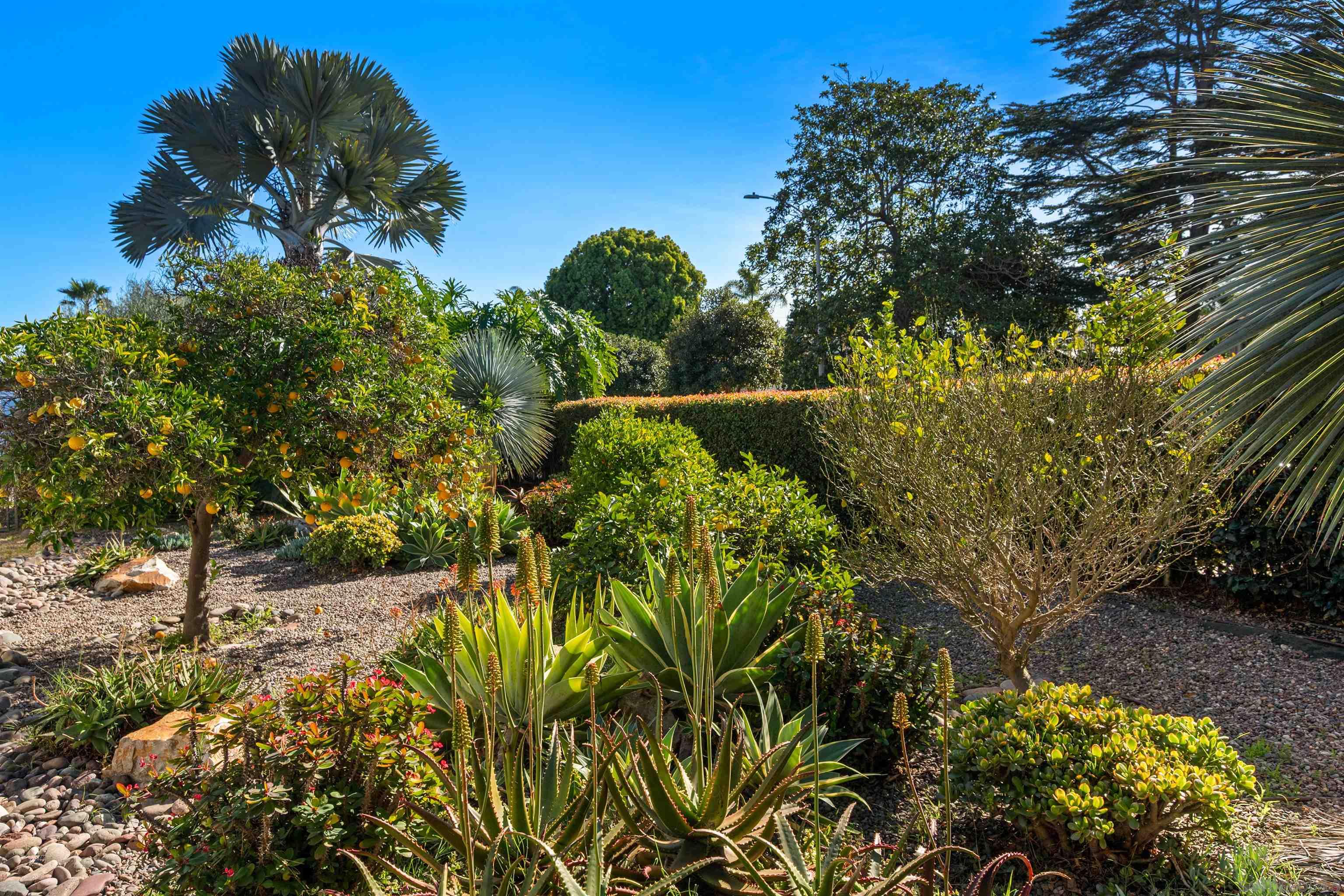 Detail Gallery Image 45 of 63 For 2650  Narcissus, San Diego,  CA 92106 - 3 Beds | 4 Baths